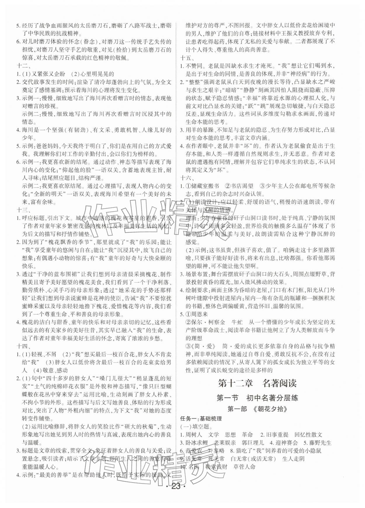 2026年语文总复习深圳专版&nbsp;第23页