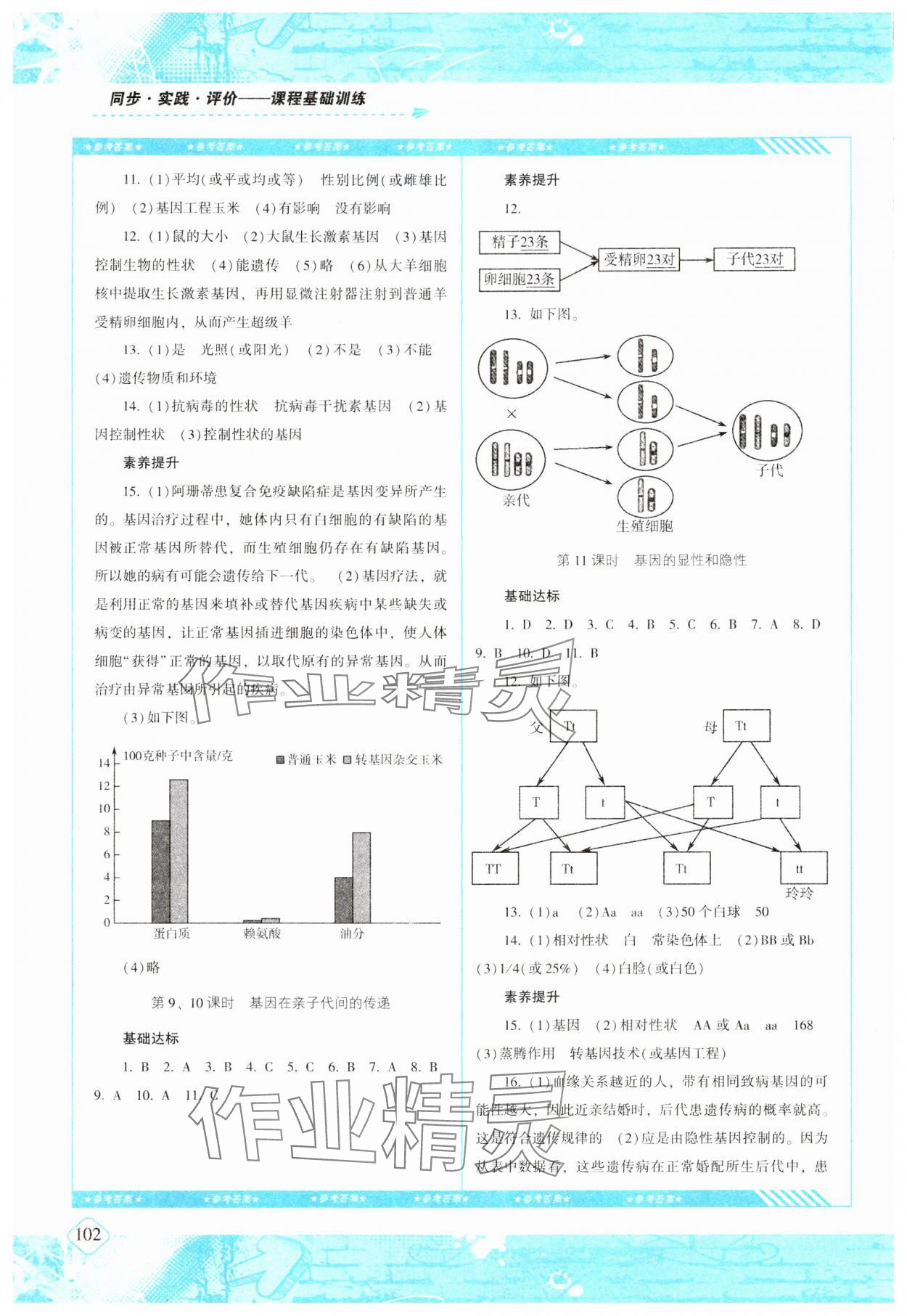 2024年同步實踐評價課程基礎(chǔ)訓(xùn)練八年級生物下冊人教版 第2頁