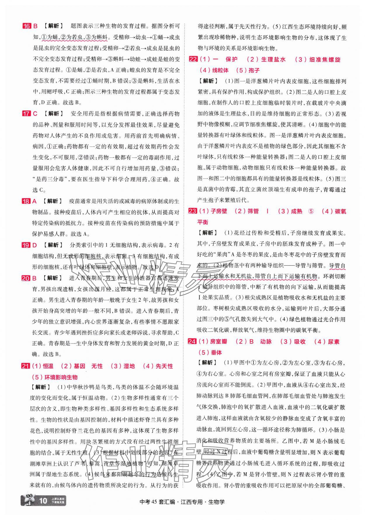 2025年金考卷45套匯編生物中考江西專版 第10頁