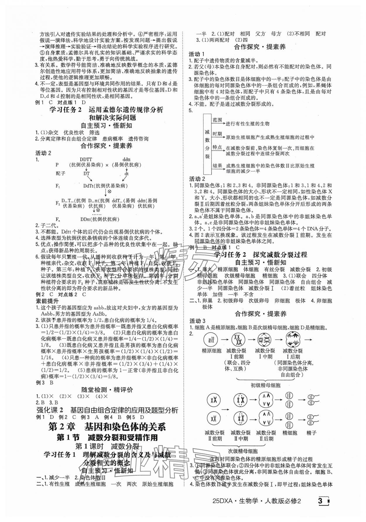 2025年金太陽導學案高中生物必修2人教版 參考答案第3頁
