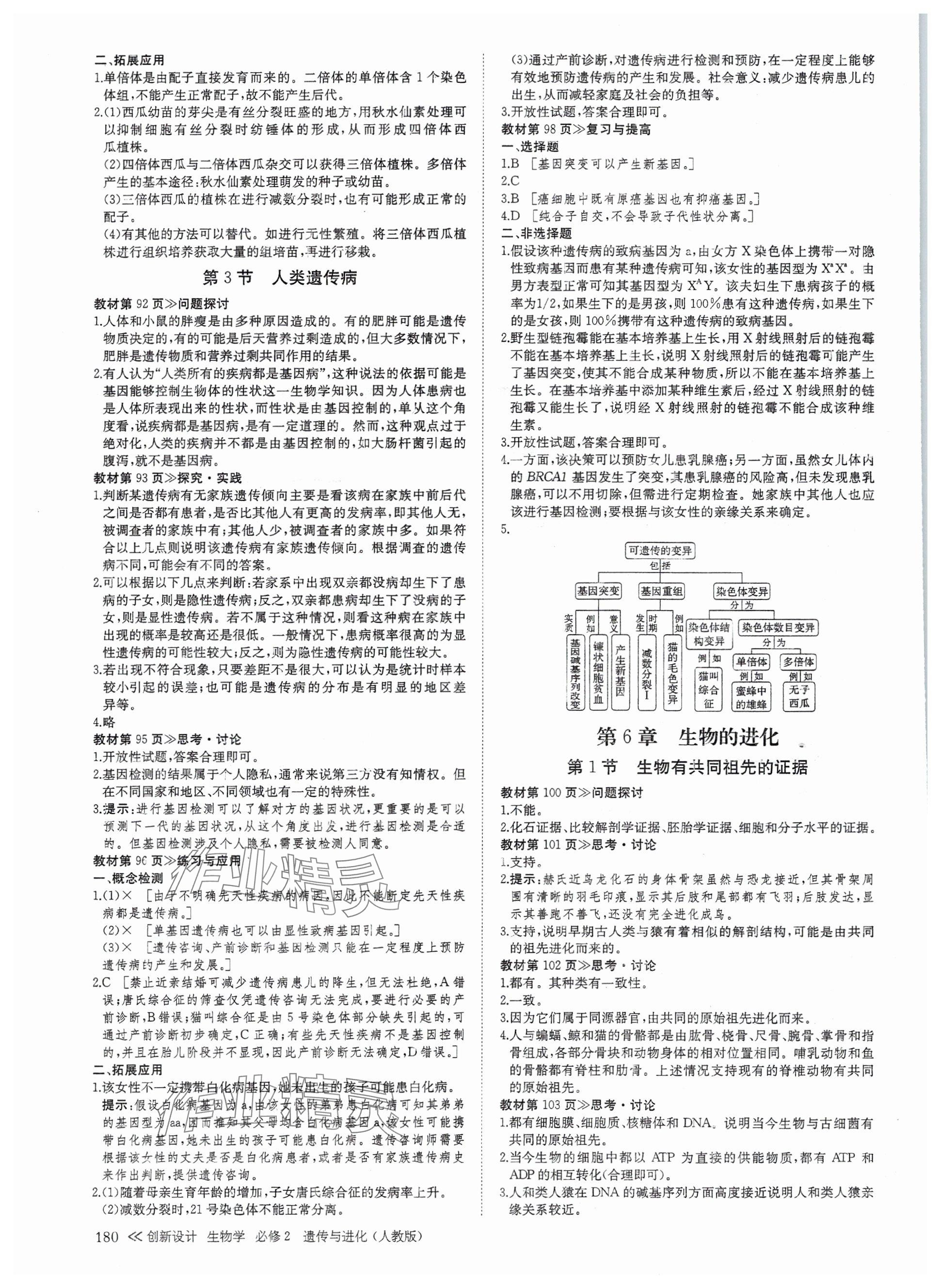 2025年創新設計高中生物必修2人教版 參考答案第7頁