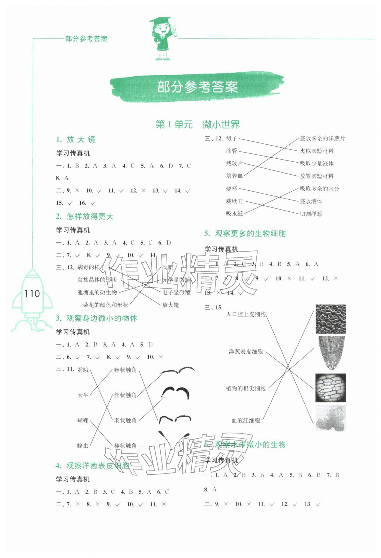 2025年小学科学习作六年级科学上册教科版 参考答案第1页