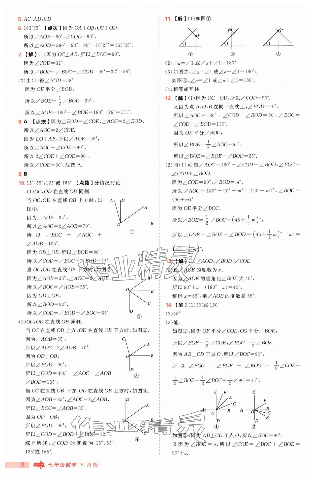 2025年綜合應用創(chuàng)新題典中點七年級數(shù)學下冊人教版 第2頁