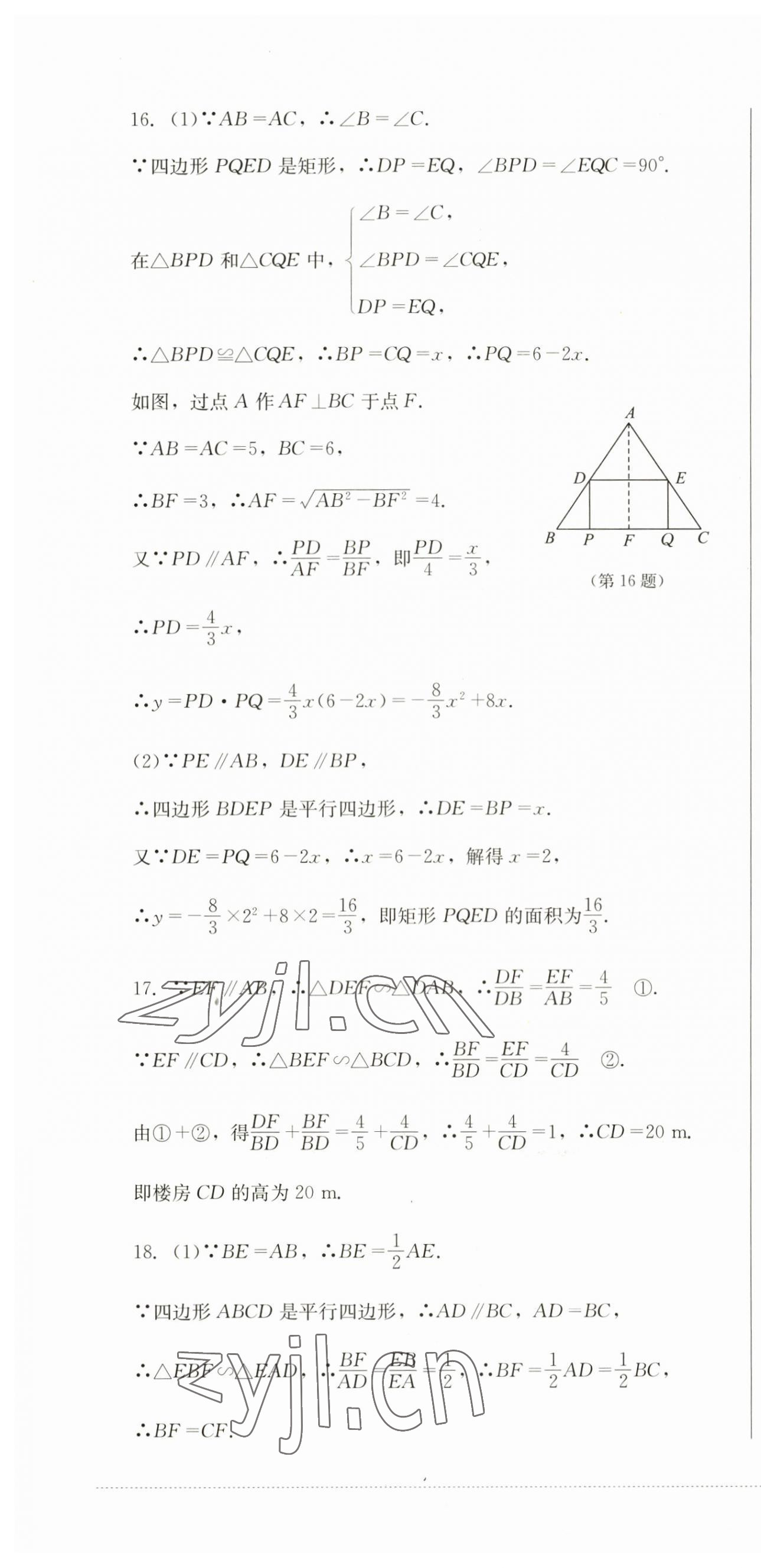 2023年學(xué)情點(diǎn)評(píng)四川教育出版社九年級(jí)數(shù)學(xué)上冊(cè)華師大版 第4頁(yè)