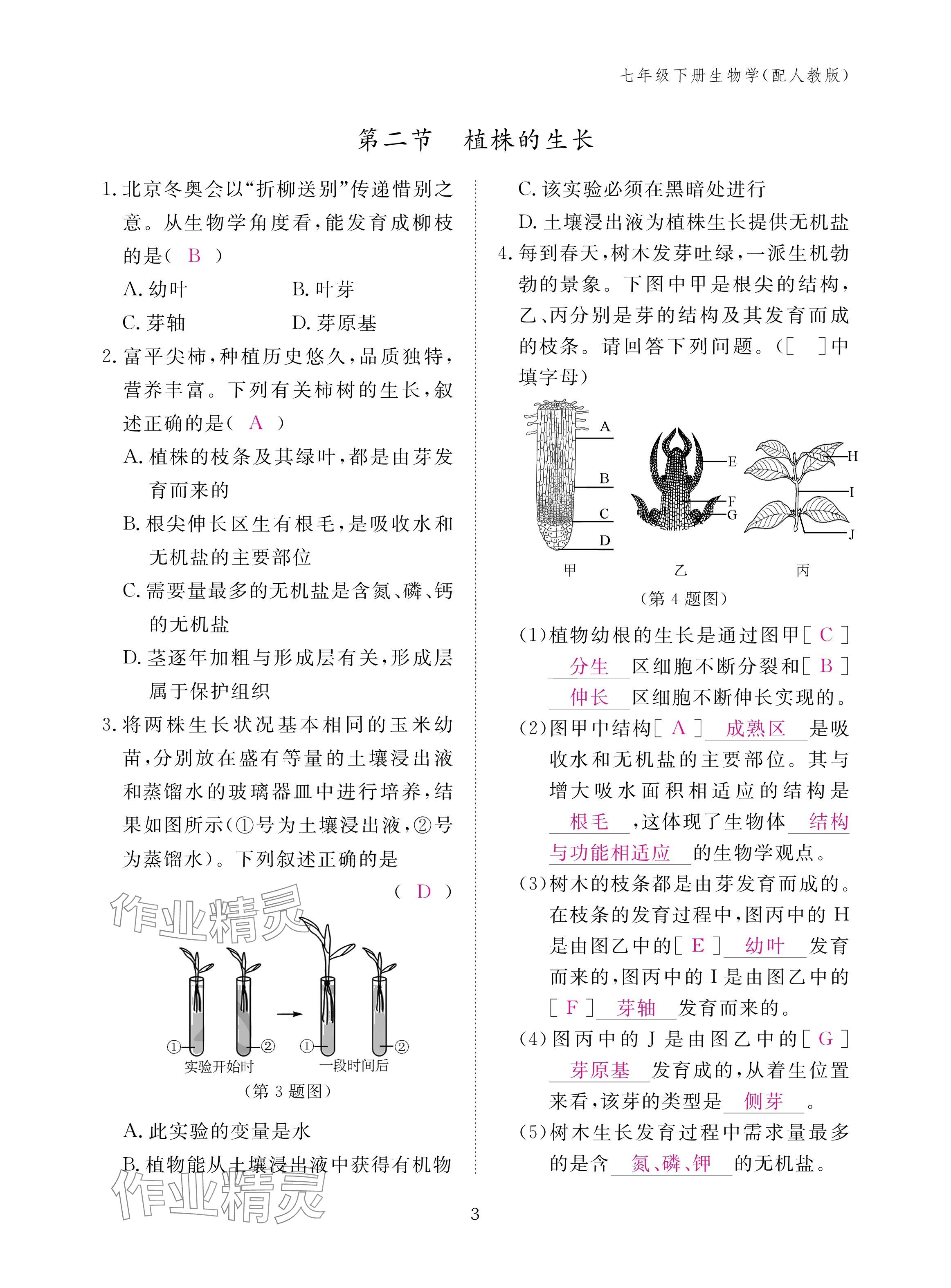 2025年作業本江西教育出版社七年級生物下冊人教版&nbsp;參考答案第3頁