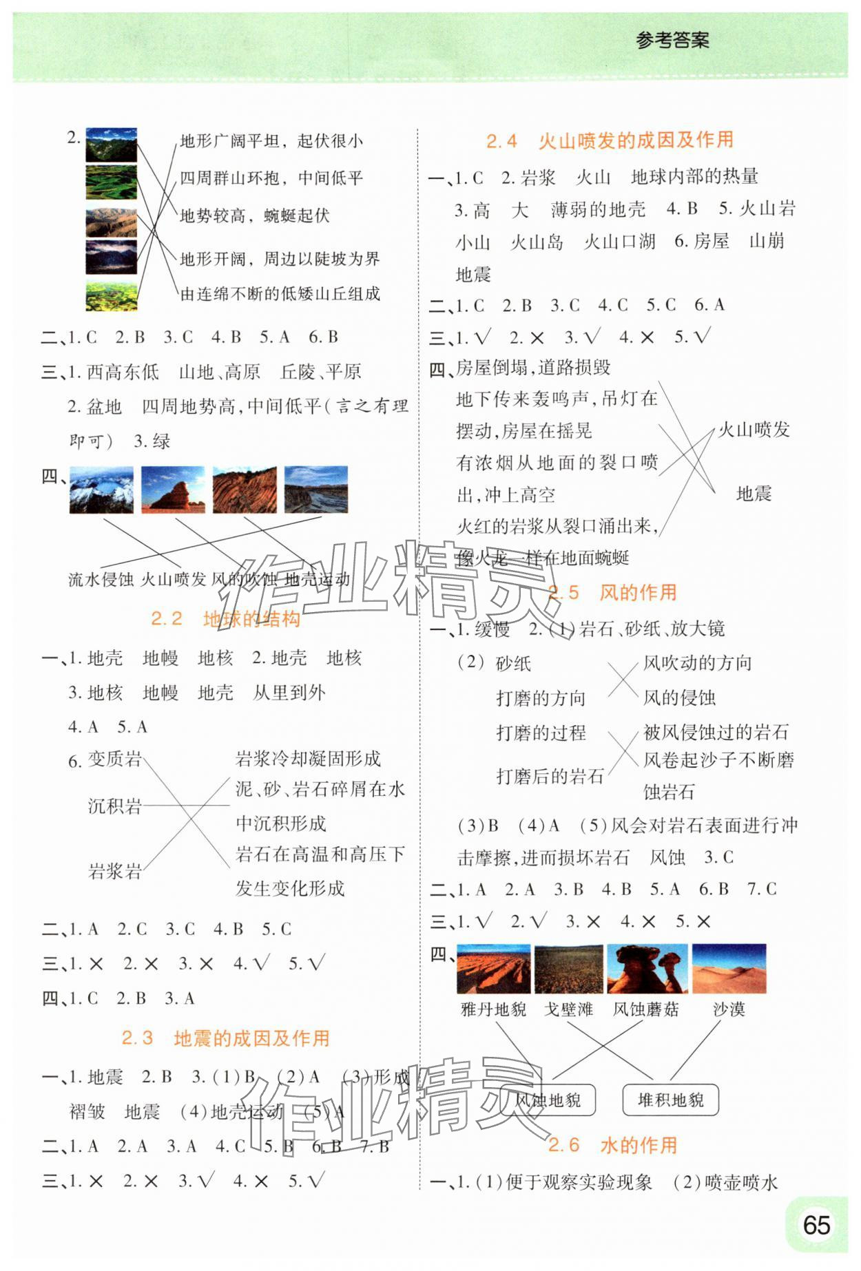 2024年黃岡同步訓(xùn)練五年級科學(xué)上冊教科版 參考答案第2頁