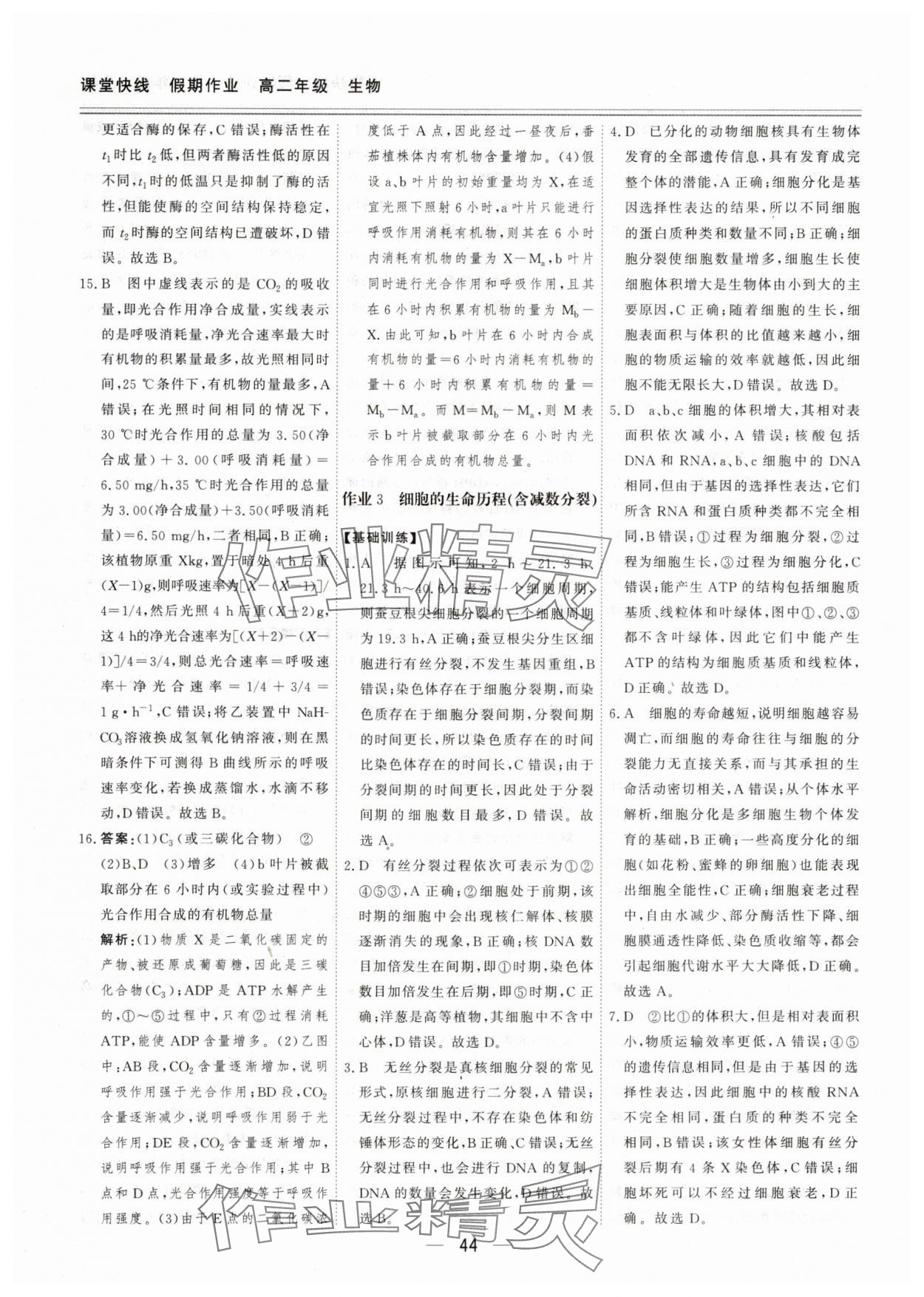 2025年课堂快线假期作业高二生物课标版&nbsp;第4页