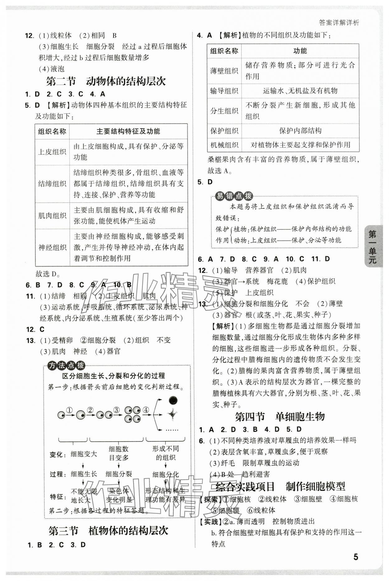 2025年萬唯中考情境題七年級生物上冊人教版河南專版 參考答案第5頁