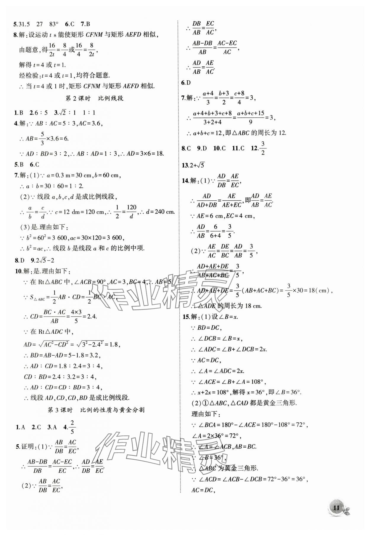 2024年創(chuàng)新課堂創(chuàng)新作業(yè)本九年級(jí)數(shù)學(xué)上冊(cè)滬科版 第11頁(yè)