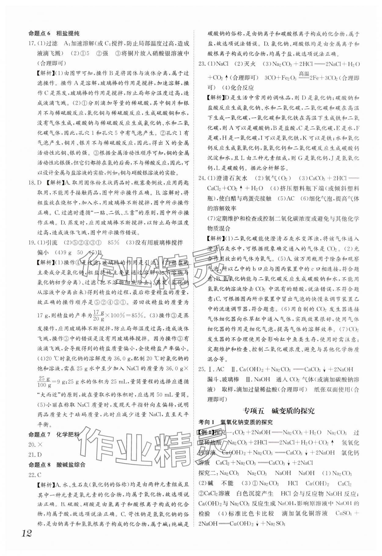 2025年一步名校中考總復(fù)習(xí)化學(xué)河北專版 第12頁(yè)