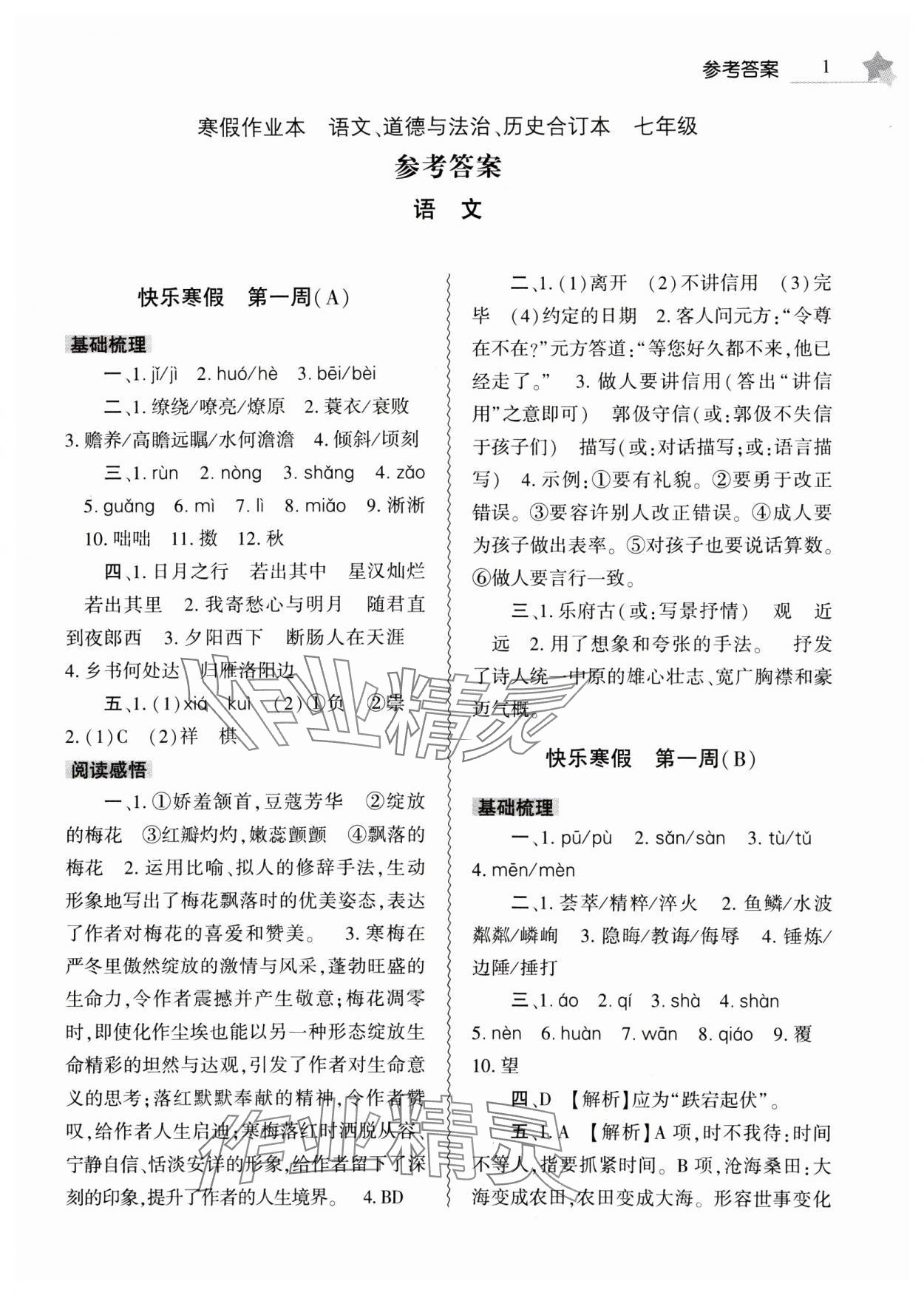 2025年寒假作业本大象出版社七年级语文道德与法治历史合订本 第1页