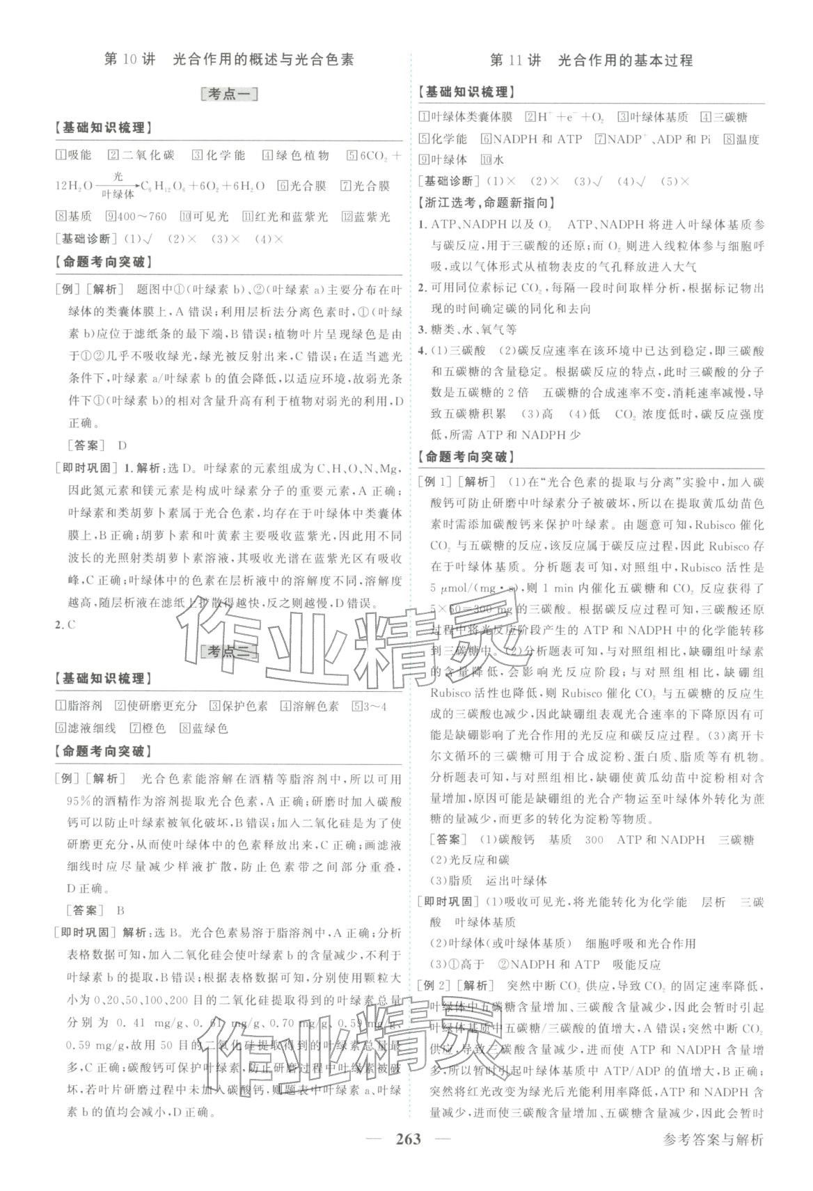 2026年卓越学案高考总复习生物上册&nbsp;第11页