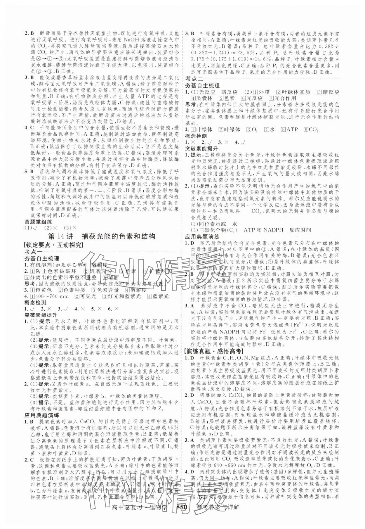 2024年三维设计生物 参考答案第14页