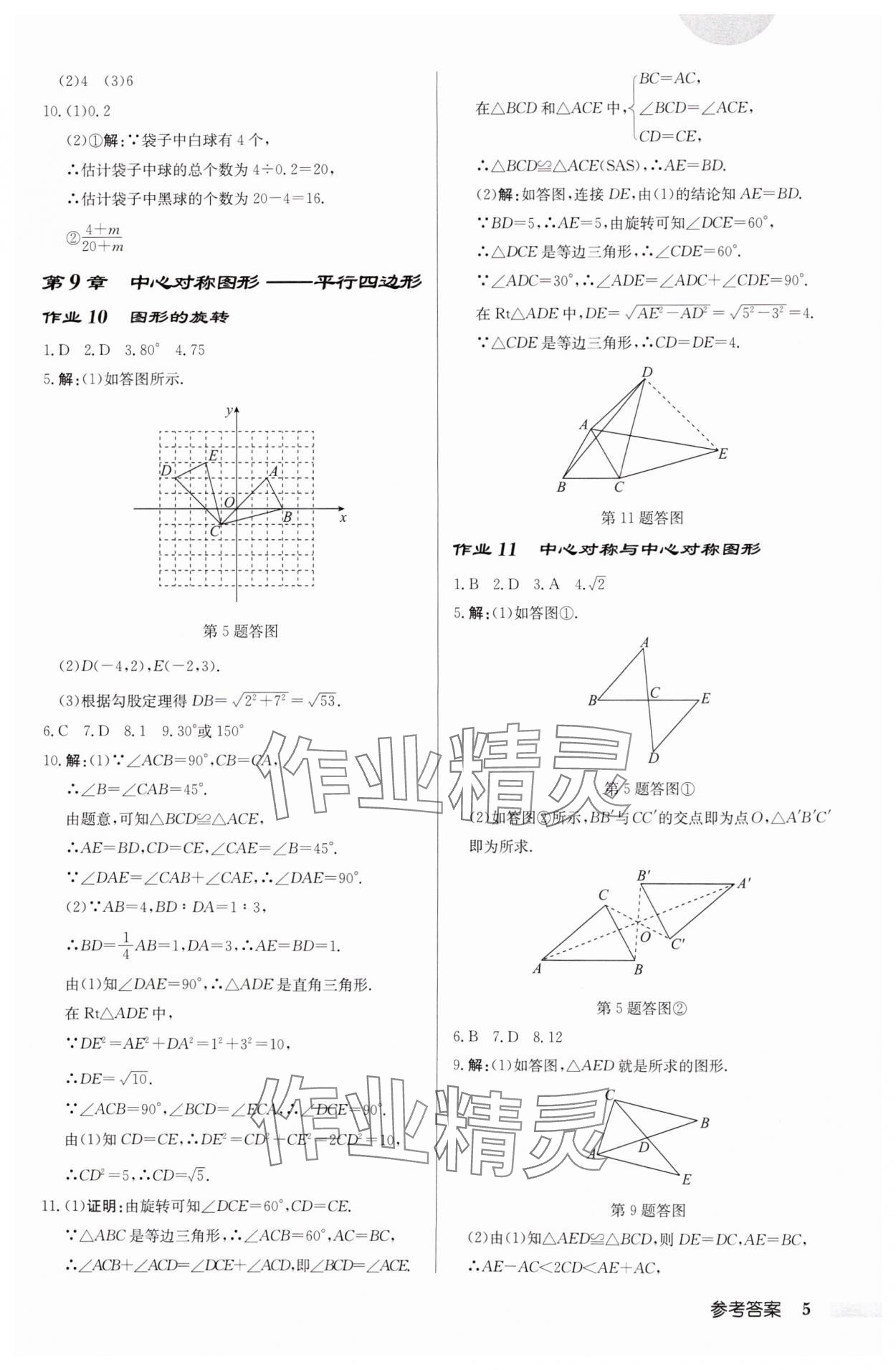 2025年啟東中學作業(yè)本八年級數(shù)學下冊江蘇版徐州專版 參考答案第5頁