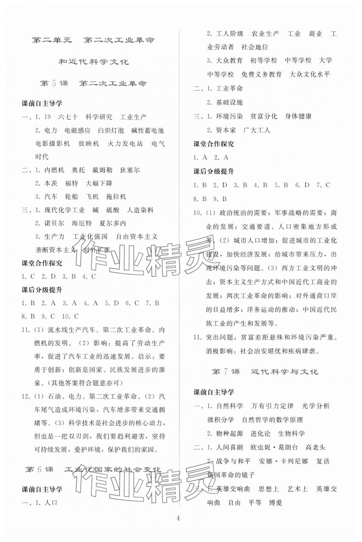 2025年同步轻松练习九年级历史下册人教版 参考答案第3页