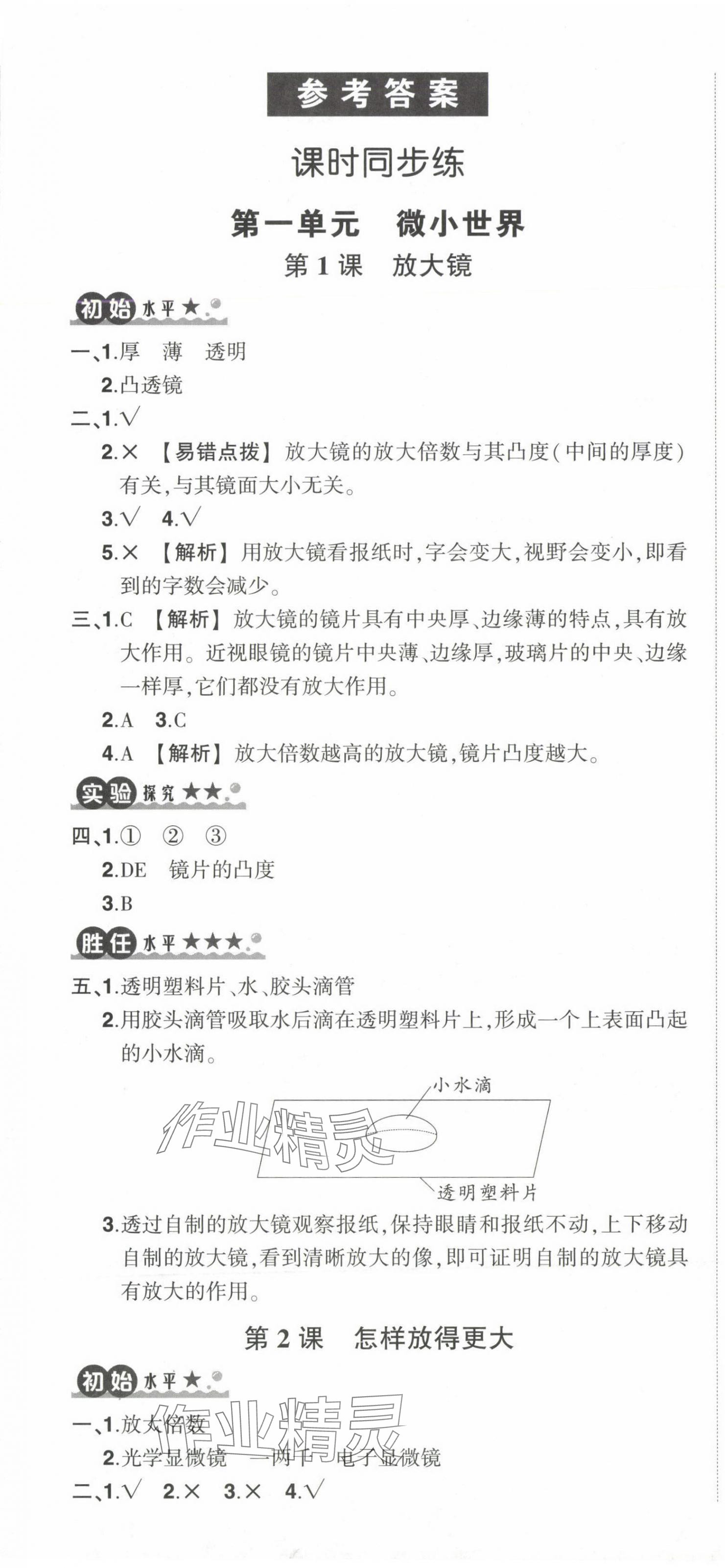 2024年状元成才路创优作业100分六年级科学上册教科版 第7页