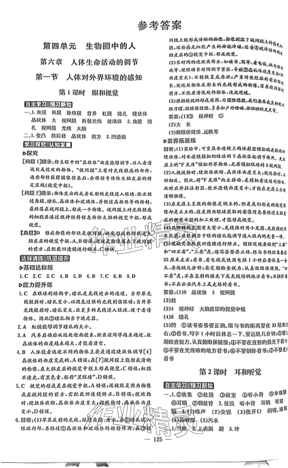 2024年練案七年級生物下冊魯科版五四制 第1頁