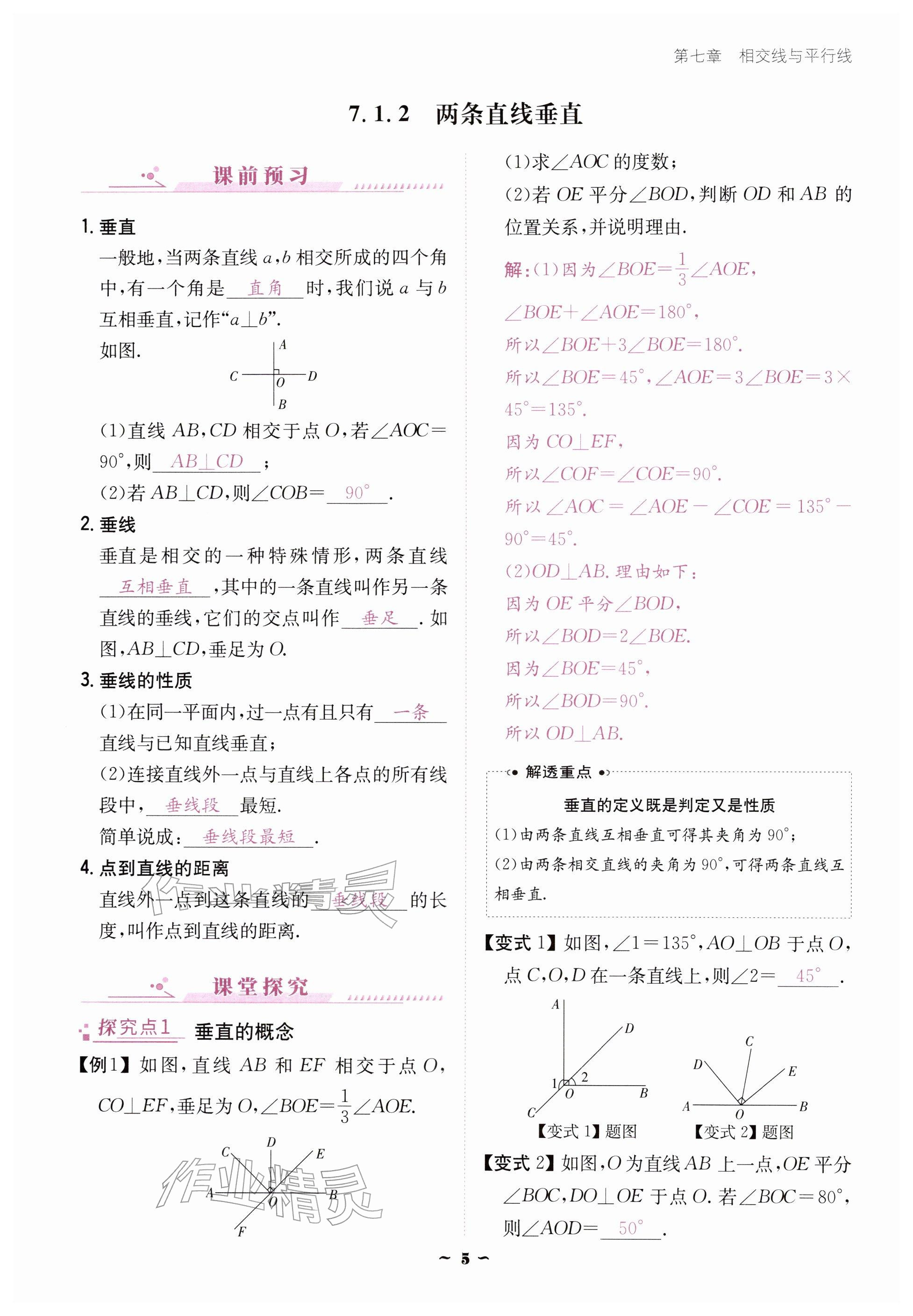 2026年优佳学案（云南）七年级数学下册人教版&nbsp;参考答案第5页