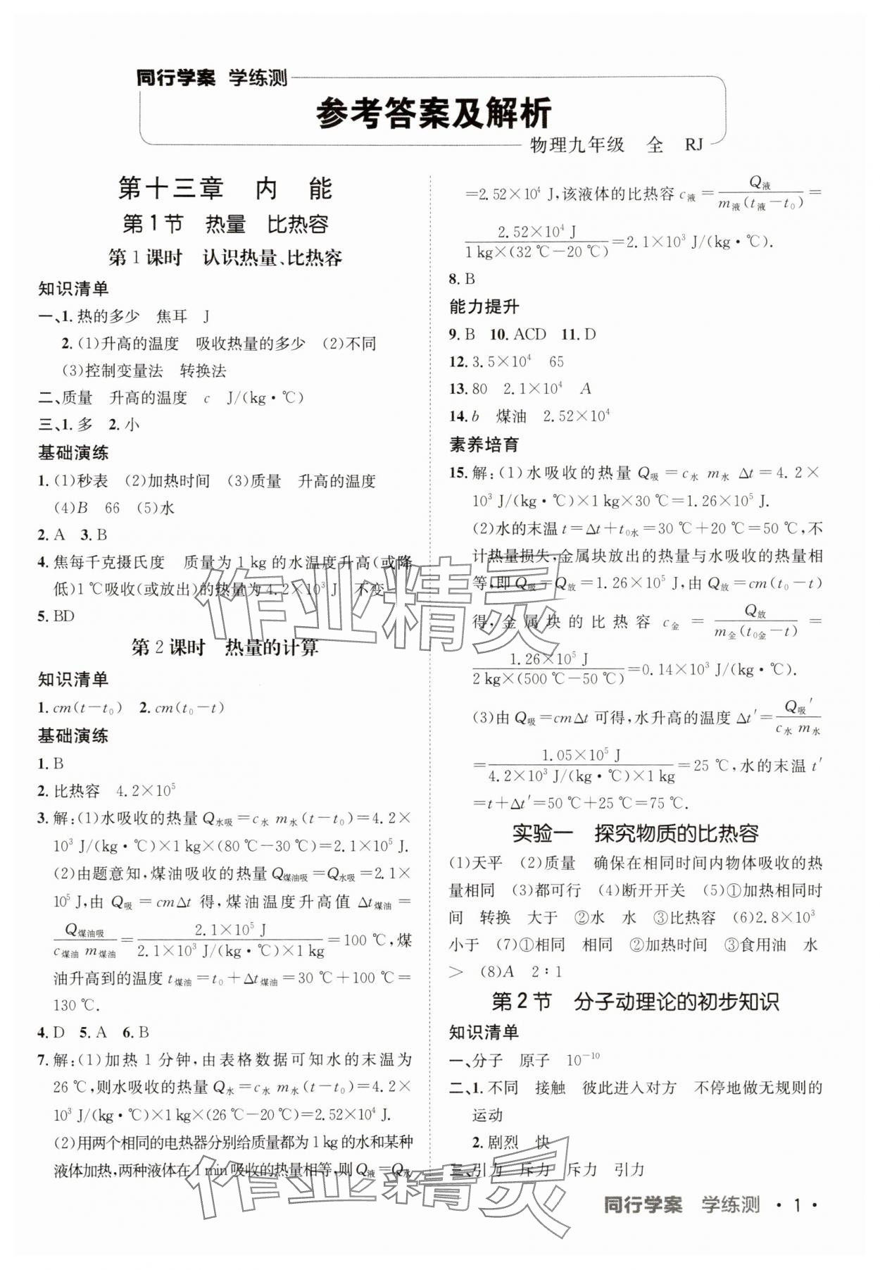 2025年同行學案九年級物理人教版 第1頁