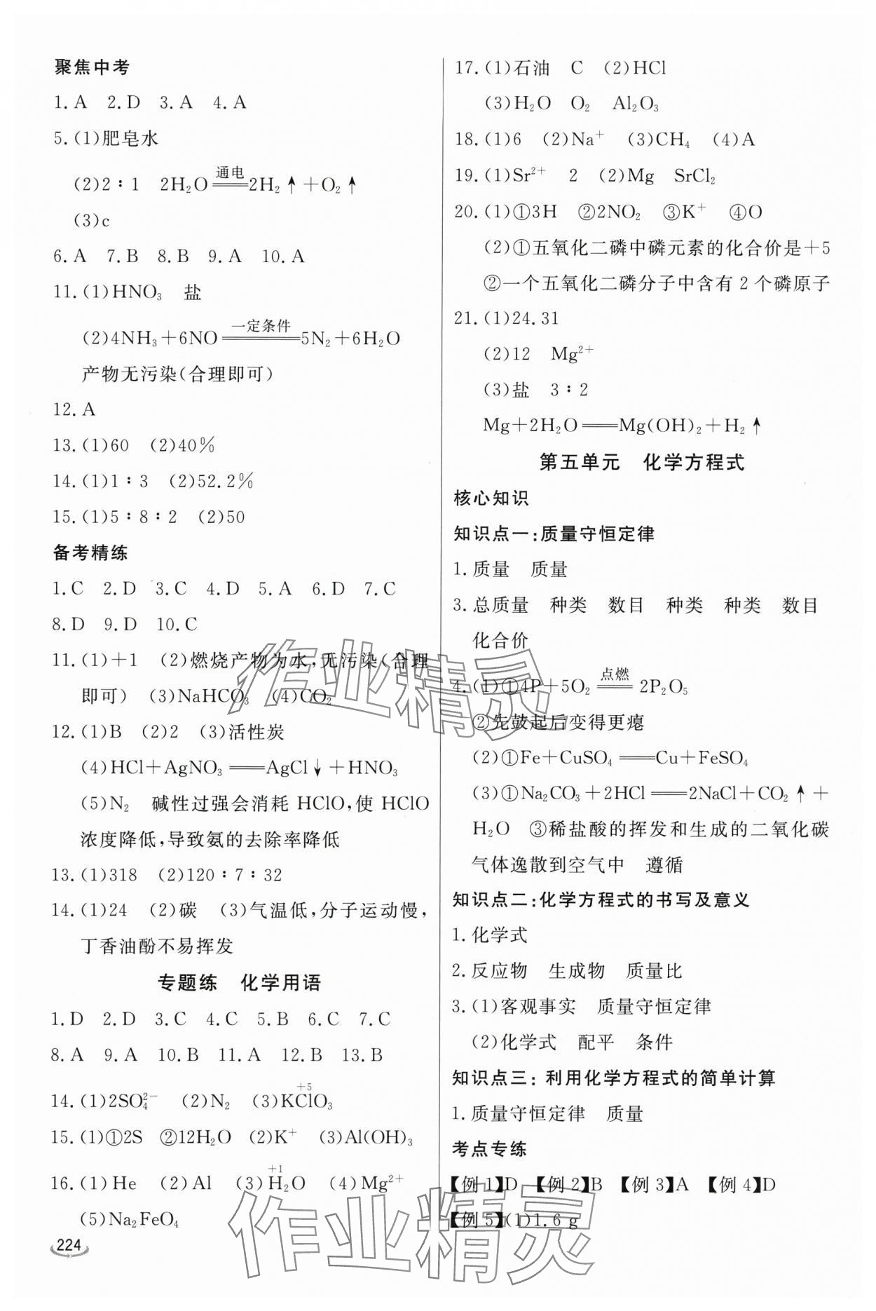 2024年初中學(xué)業(yè)水平考試備考指導(dǎo)化學(xué)臨沂專版&nbsp;參考答案第5頁(yè)