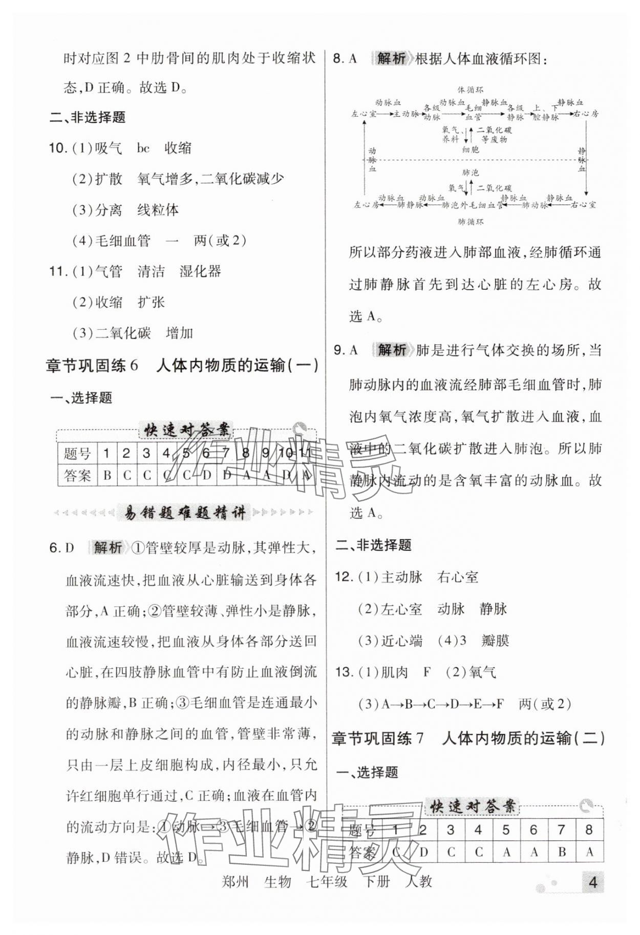 2025年期末考試必刷卷七年級生物下冊人教版鄭州專版 參考答案第4頁
