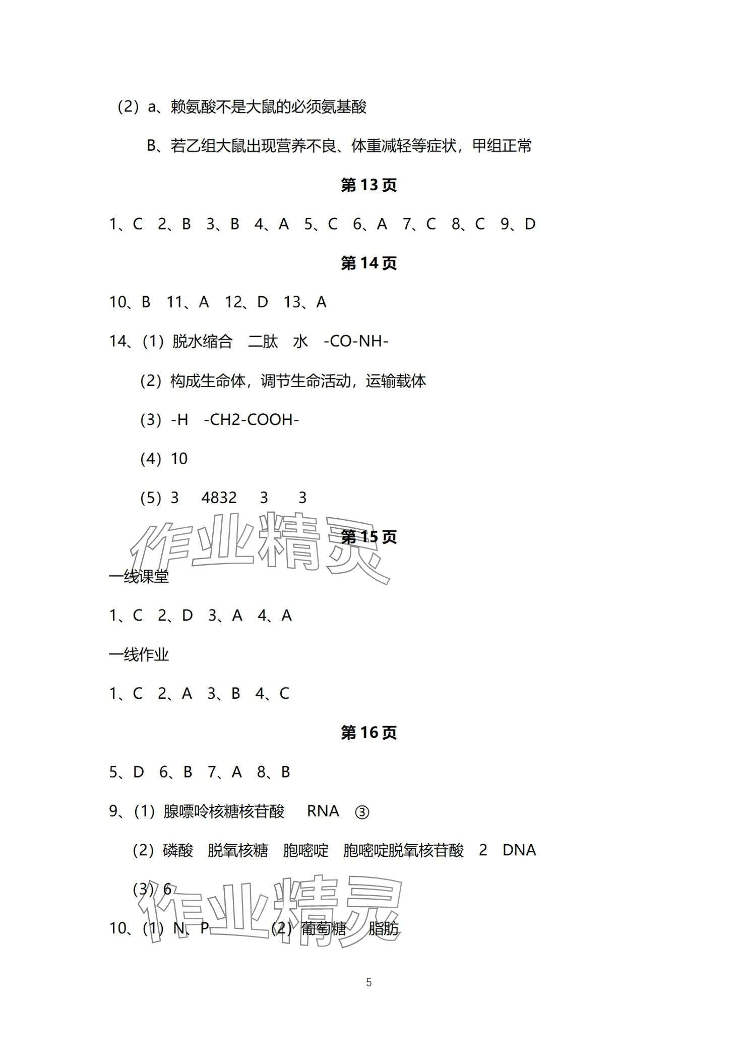 2024年一線精練高中生物必修1人教版 第5頁