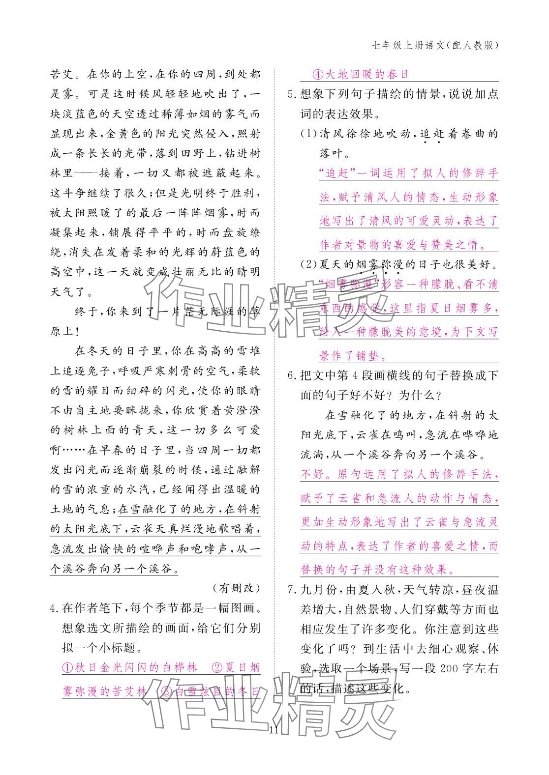 2025年作业本江西教育出版社七年级语文上册人教版 参考答案第11页