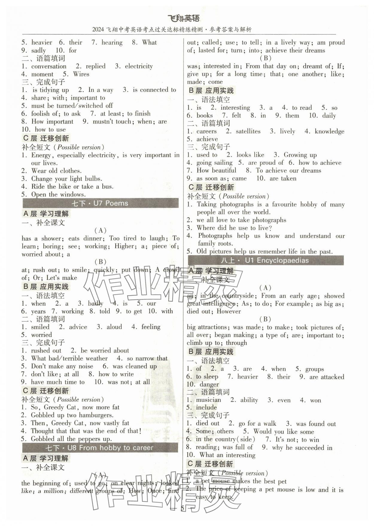 2024年飞翔英语中考广州专版&nbsp;参考答案第5页