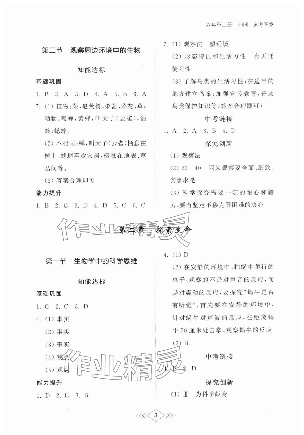 2024年綜合能力訓(xùn)練六年級(jí)生物上冊(cè)魯科版54制 參考答案第2頁