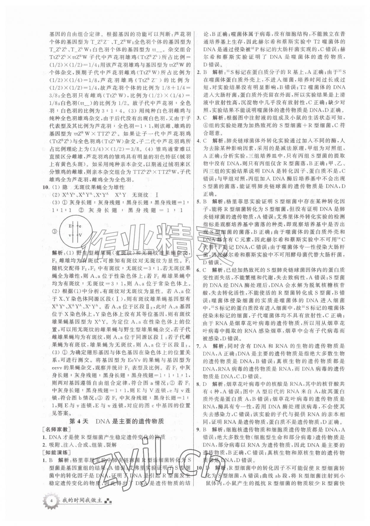 2026年最高考假期作业高一生物&nbsp;第4页