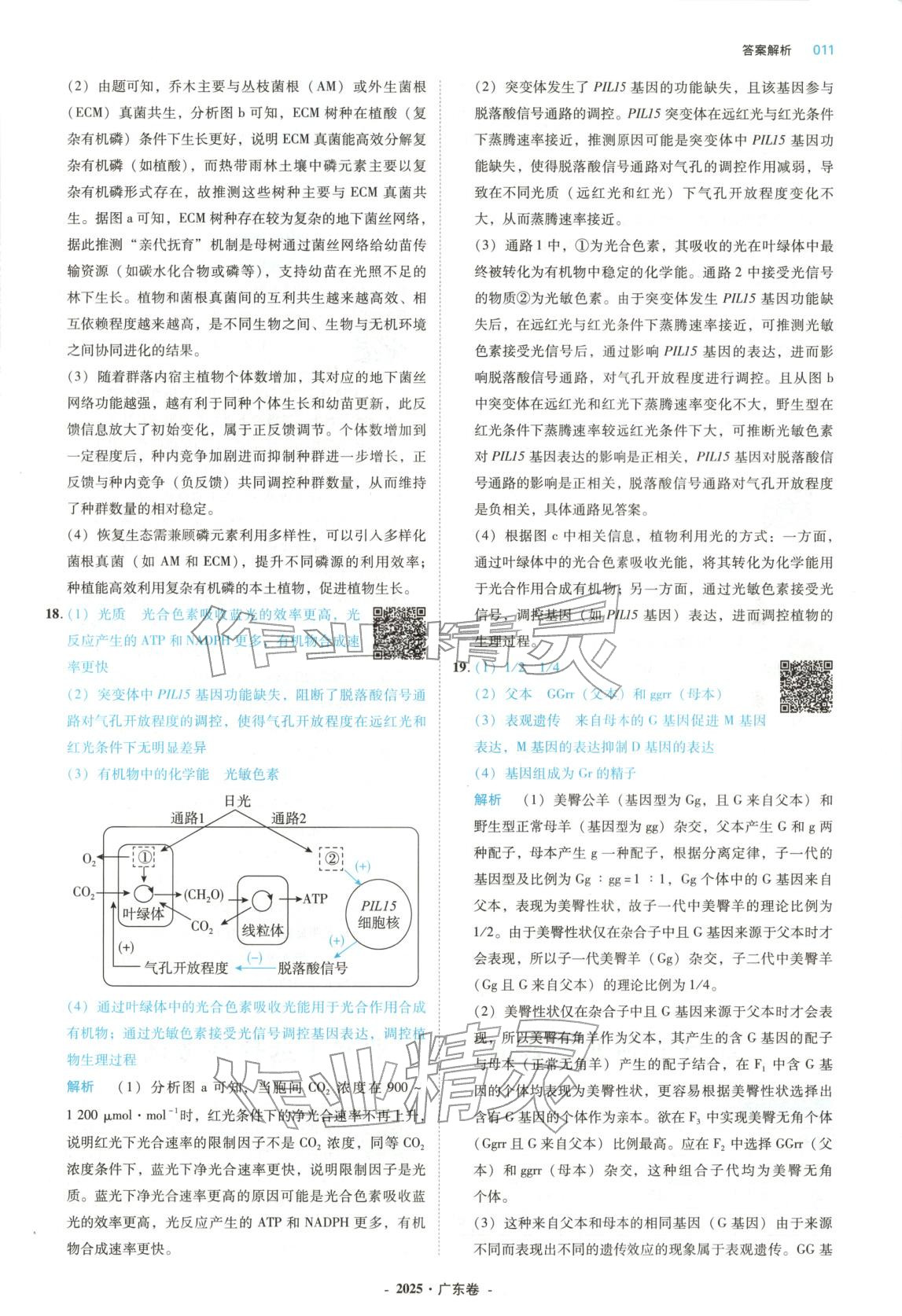 2026年五年高考真题汇编高中生物&nbsp;第11页