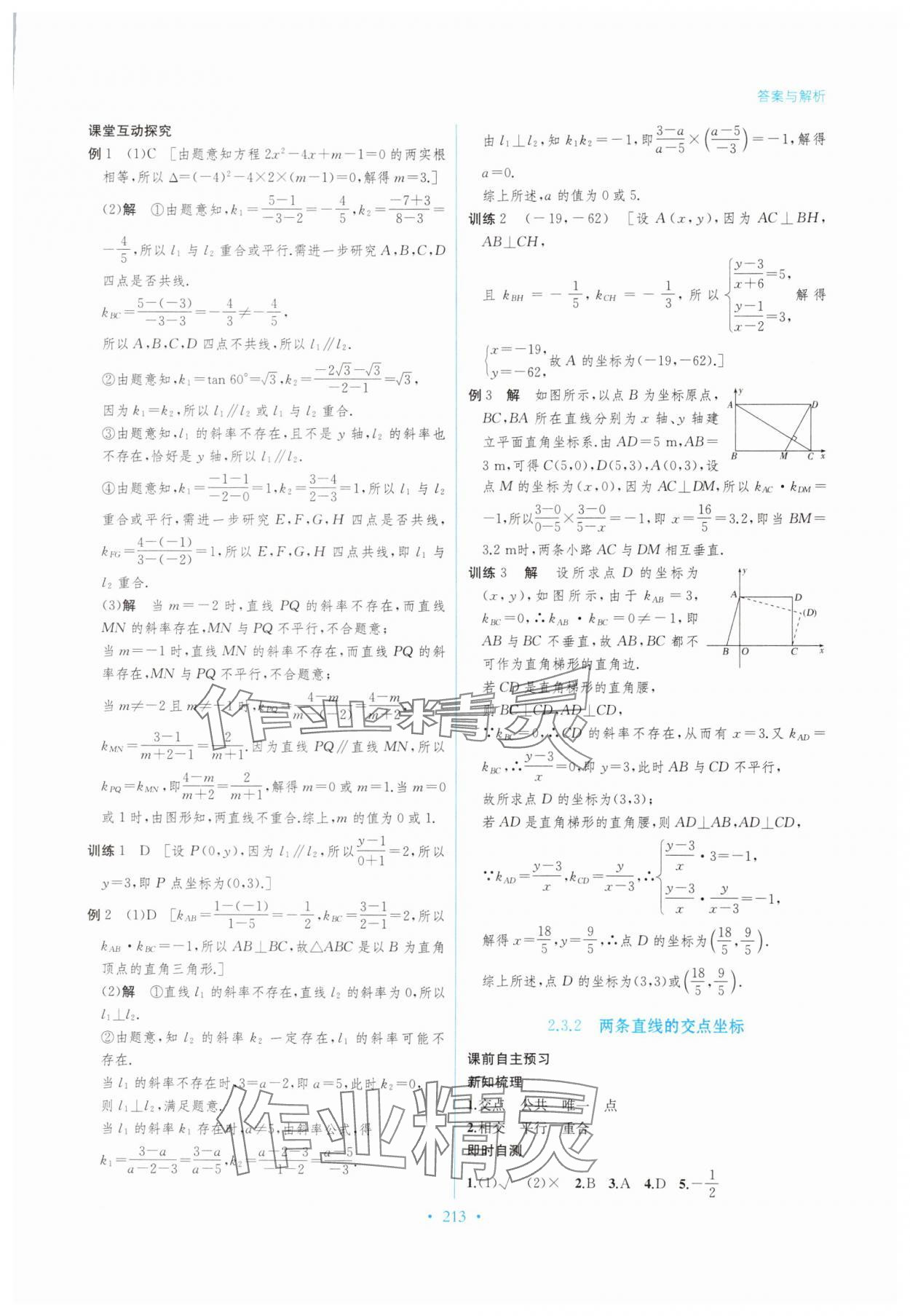 2025年学与练课后作业高中数学选择性必修第一册湘教版 参考答案第13页