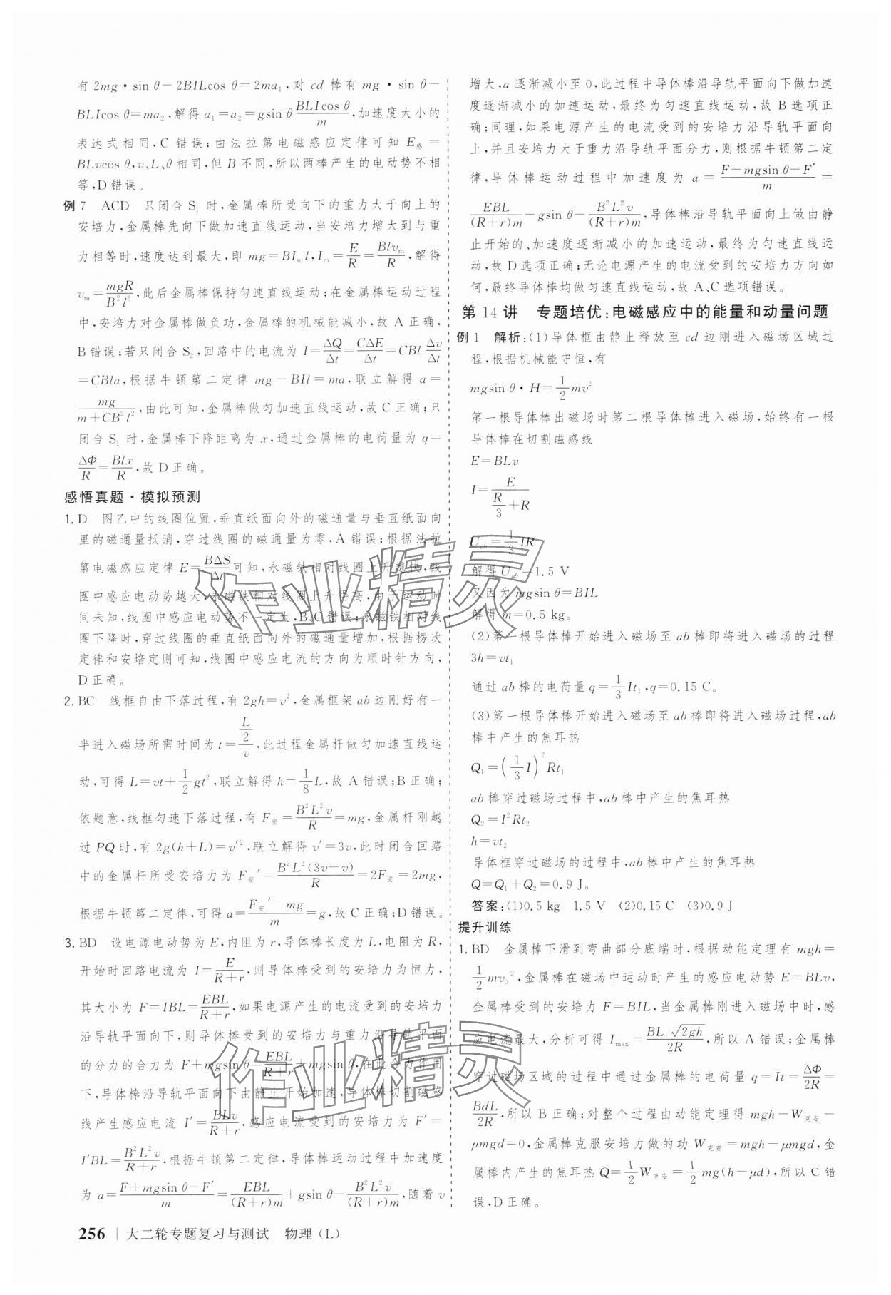 2025年高考領航大二輪專題復習與測試物理山東美術(shù)出版社 參考答案第19頁