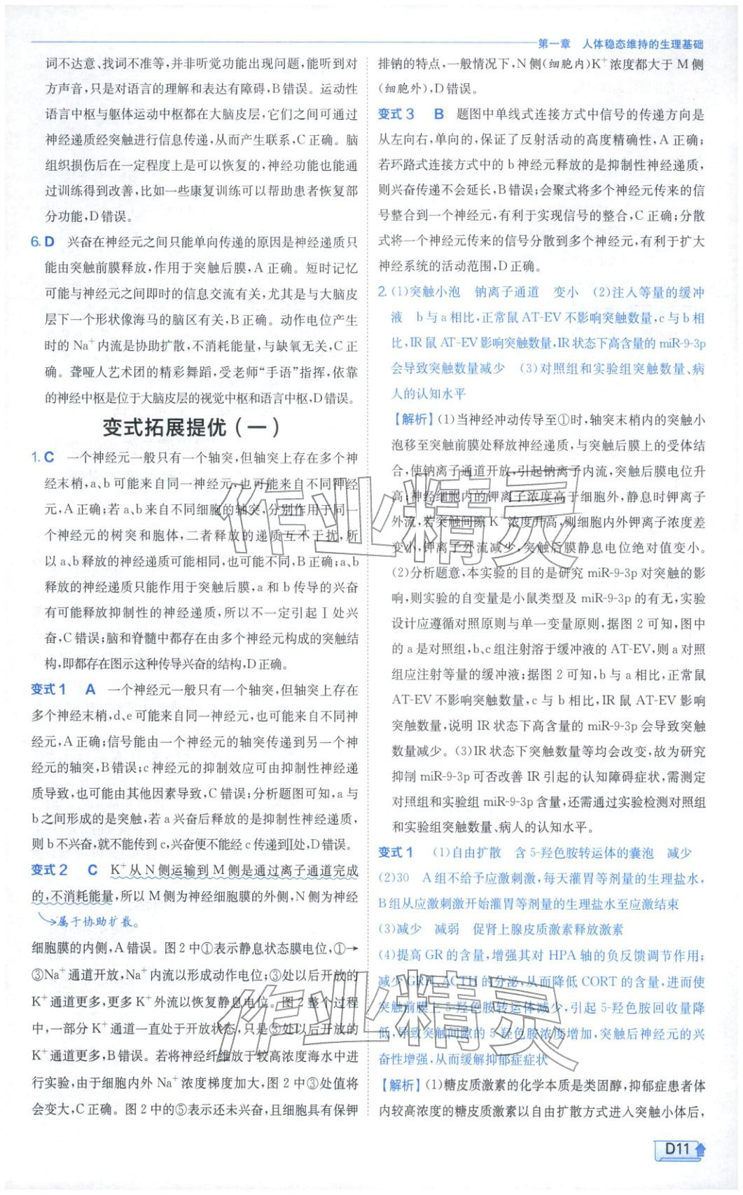 2026年實驗班提優(yōu)訓練高中生物選擇性必修第一冊蘇教版&nbsp;第11頁