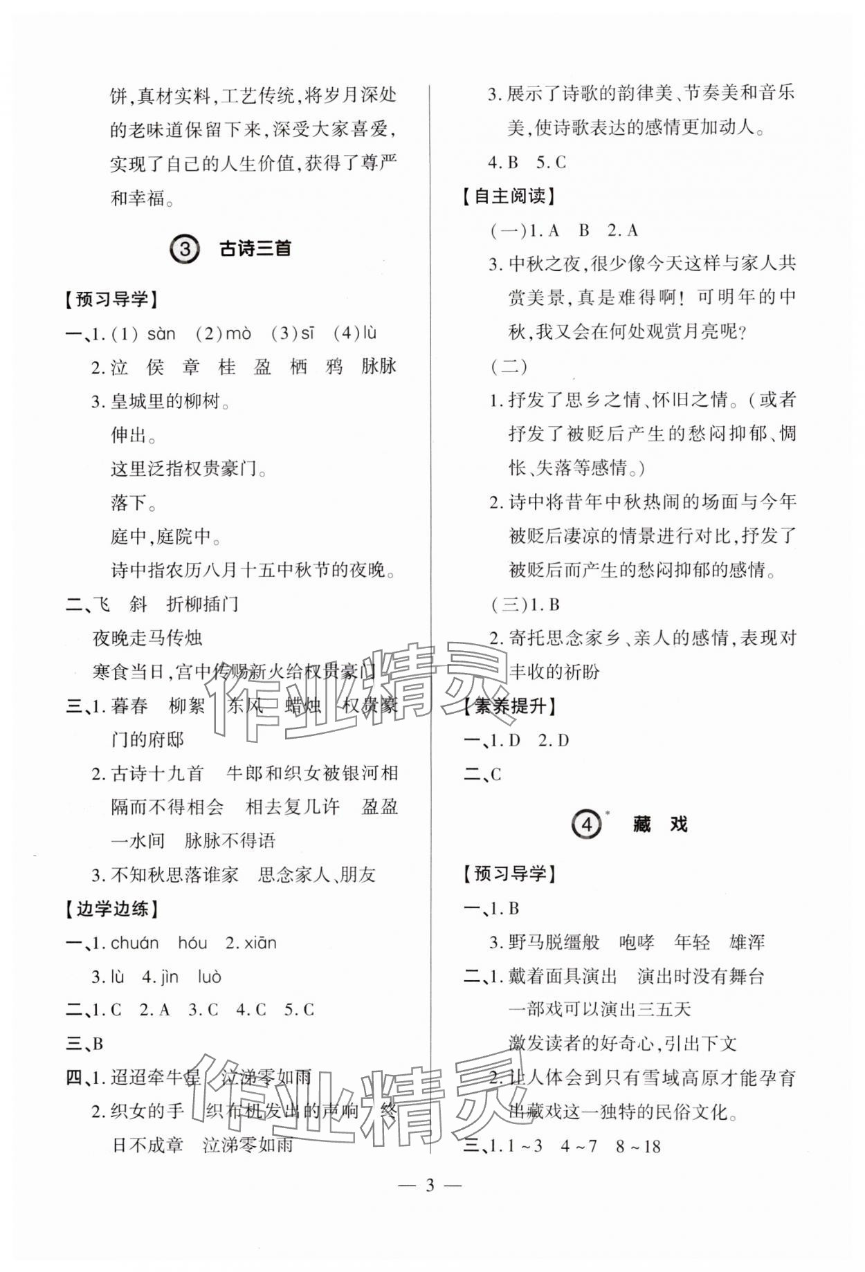 2025年新課堂學習與探究六年級語文下冊人教版 參考答案第3頁