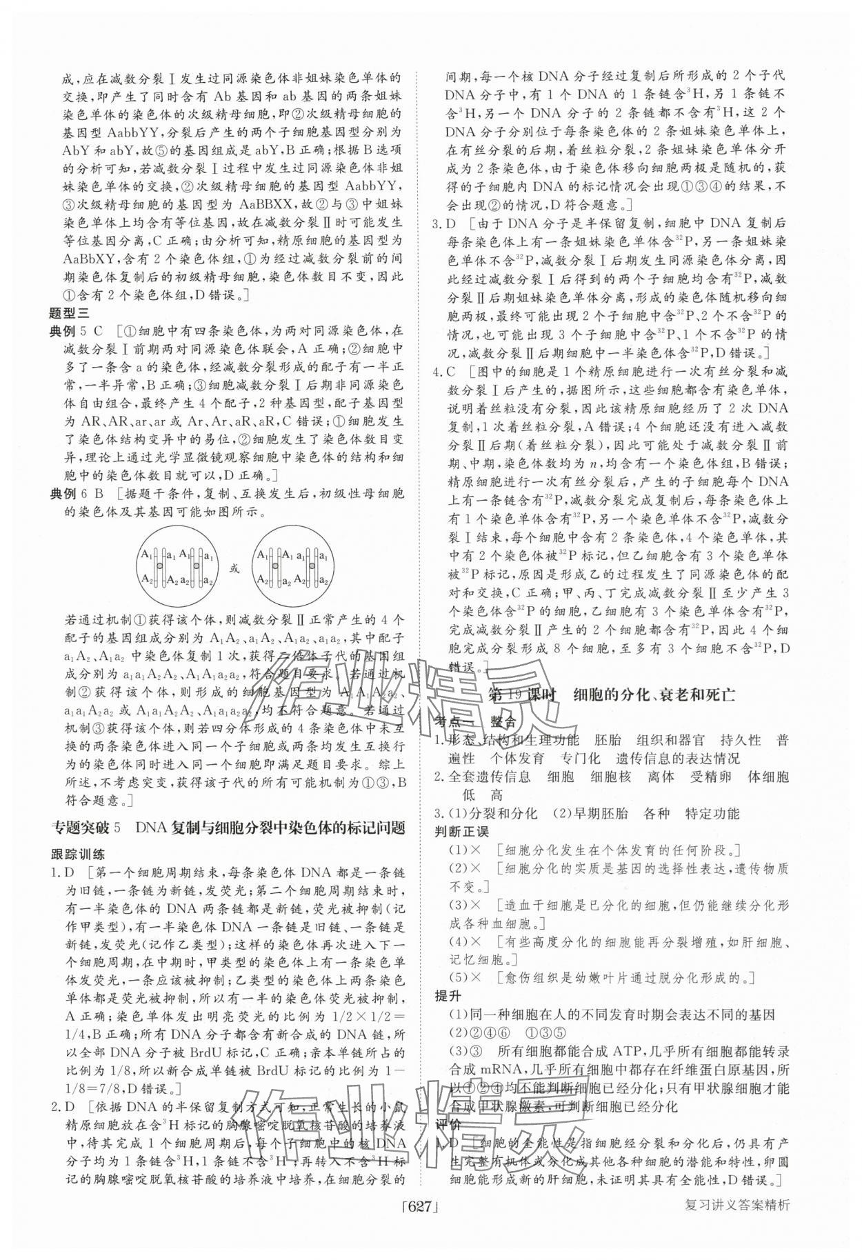 2025年步步高大一輪復習講義高中生物 第19頁