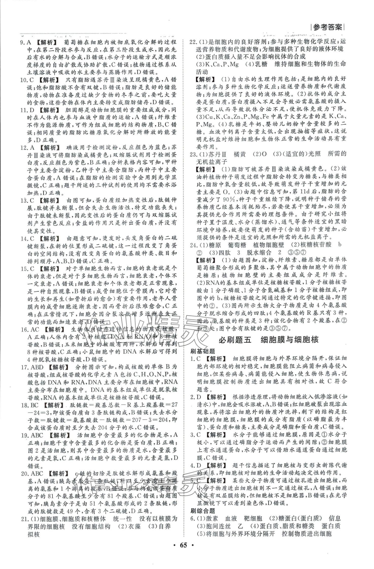 2024年高中假日必刷题高一生物 第3页