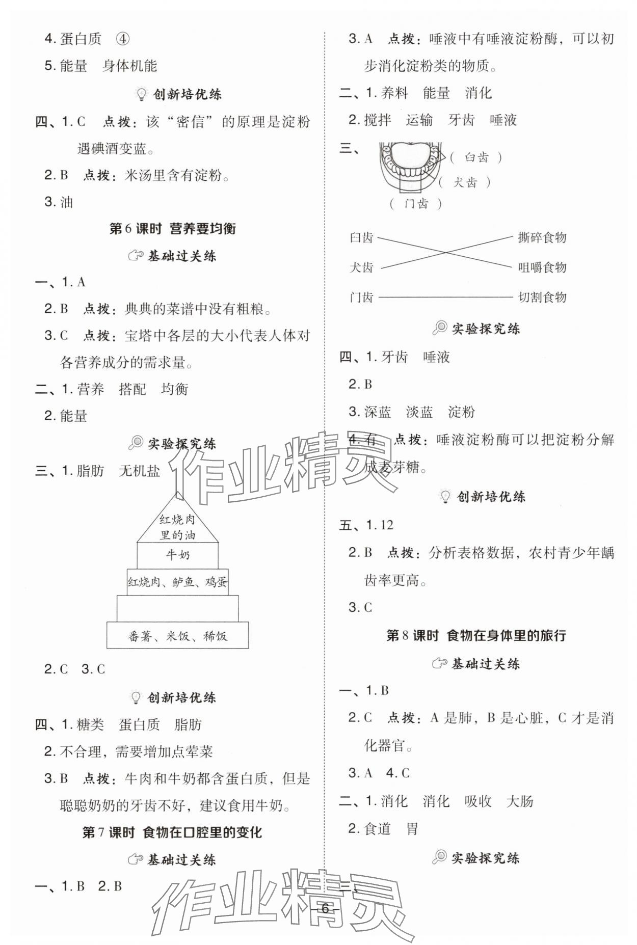 2025年综合应用创新题典中点四年级科学上册教科版&nbsp;参考答案第6页