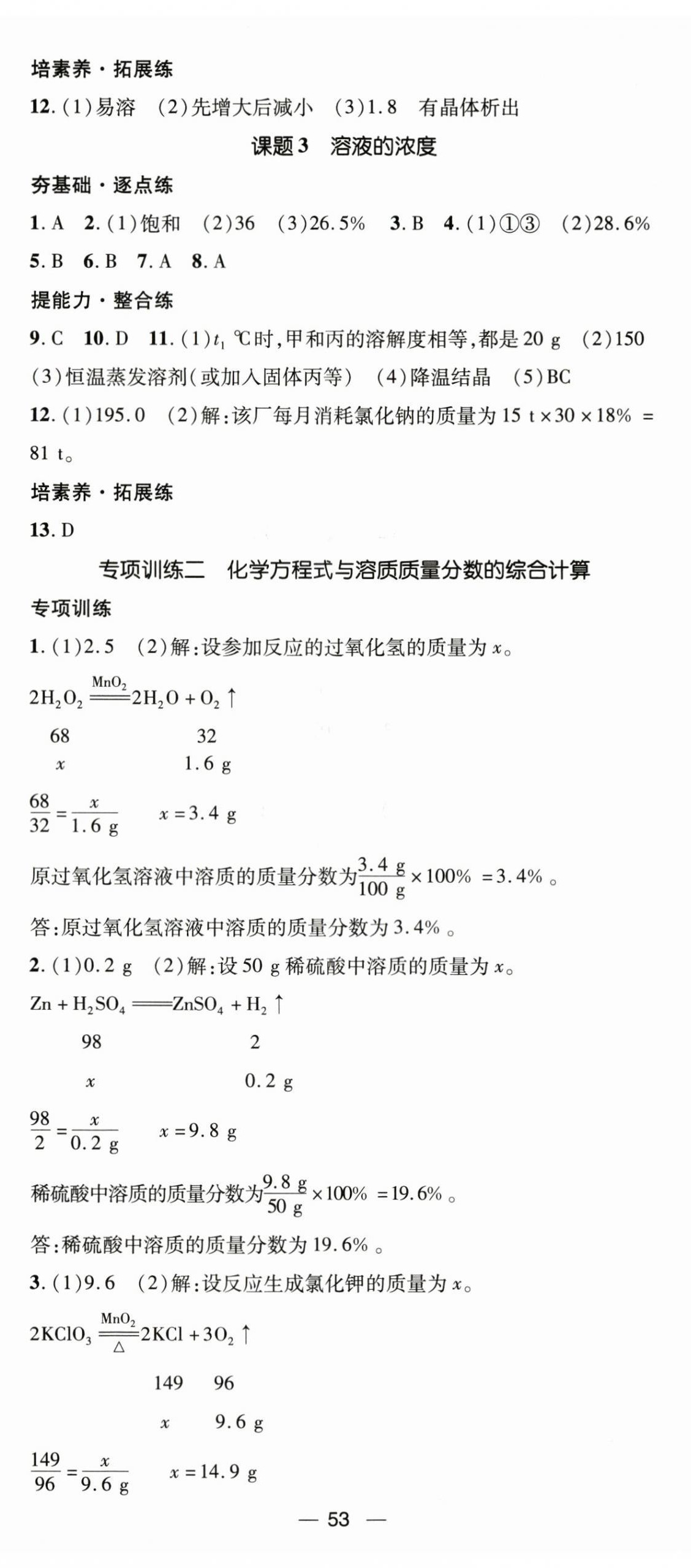 2024年精英新课堂九年级化学下册人教版 第5页