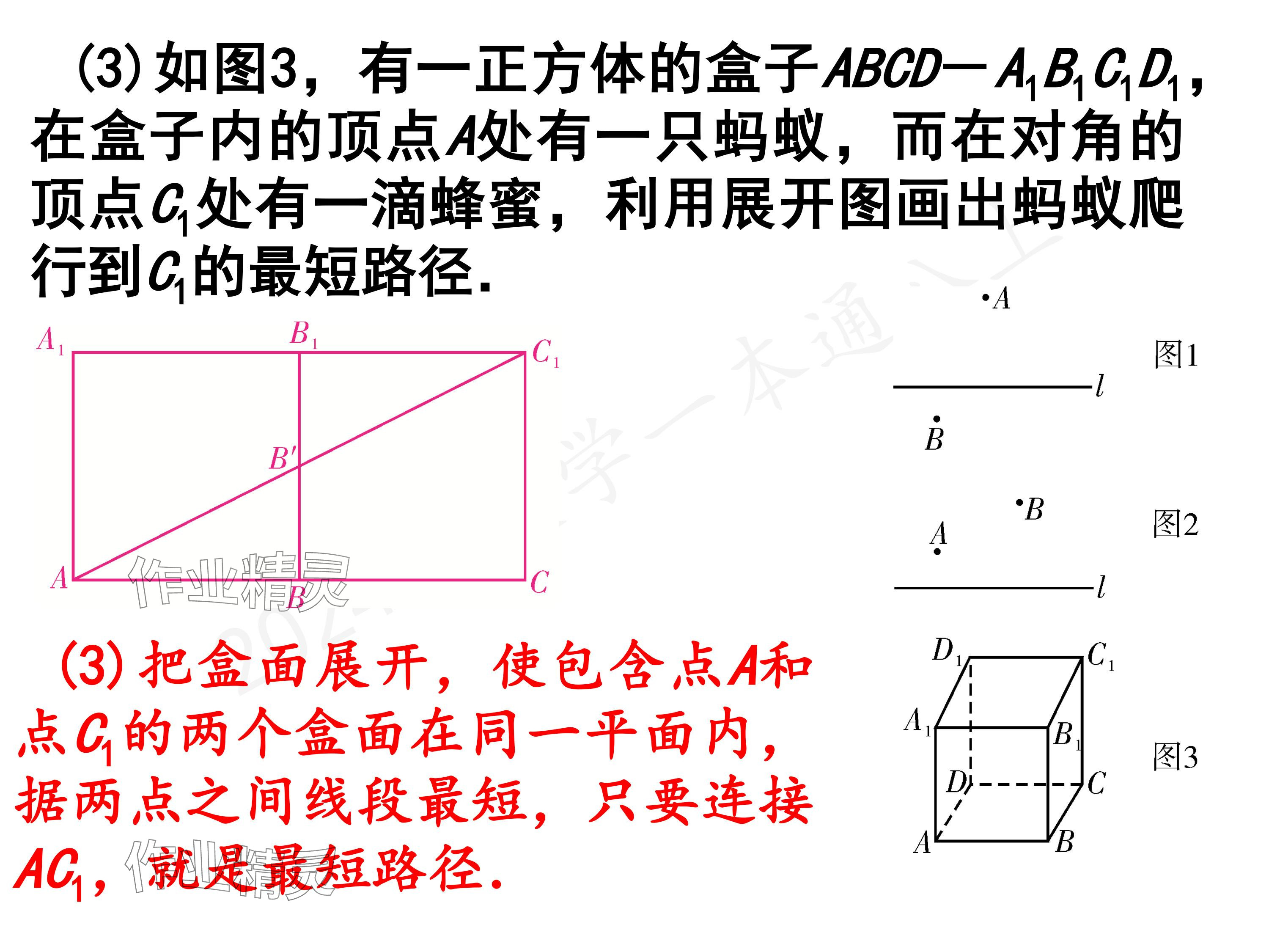 2024年一本通武漢出版社八年級數(shù)學(xué)上冊北師大版精簡版 參考答案第23頁