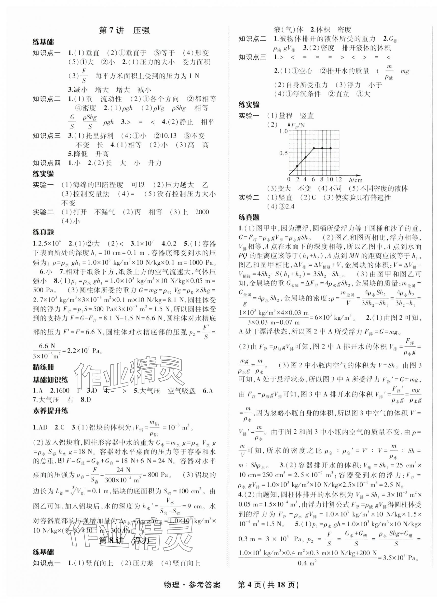 2025年九年級(jí)畢業(yè)班綜合練習(xí)與檢測(cè)物理 第4頁(yè)