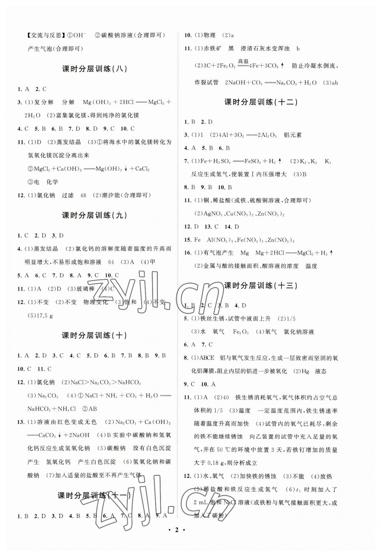 2023年同步練習(xí)冊分層卷九年級化學(xué)全一冊魯教版54制 參考答案第2頁