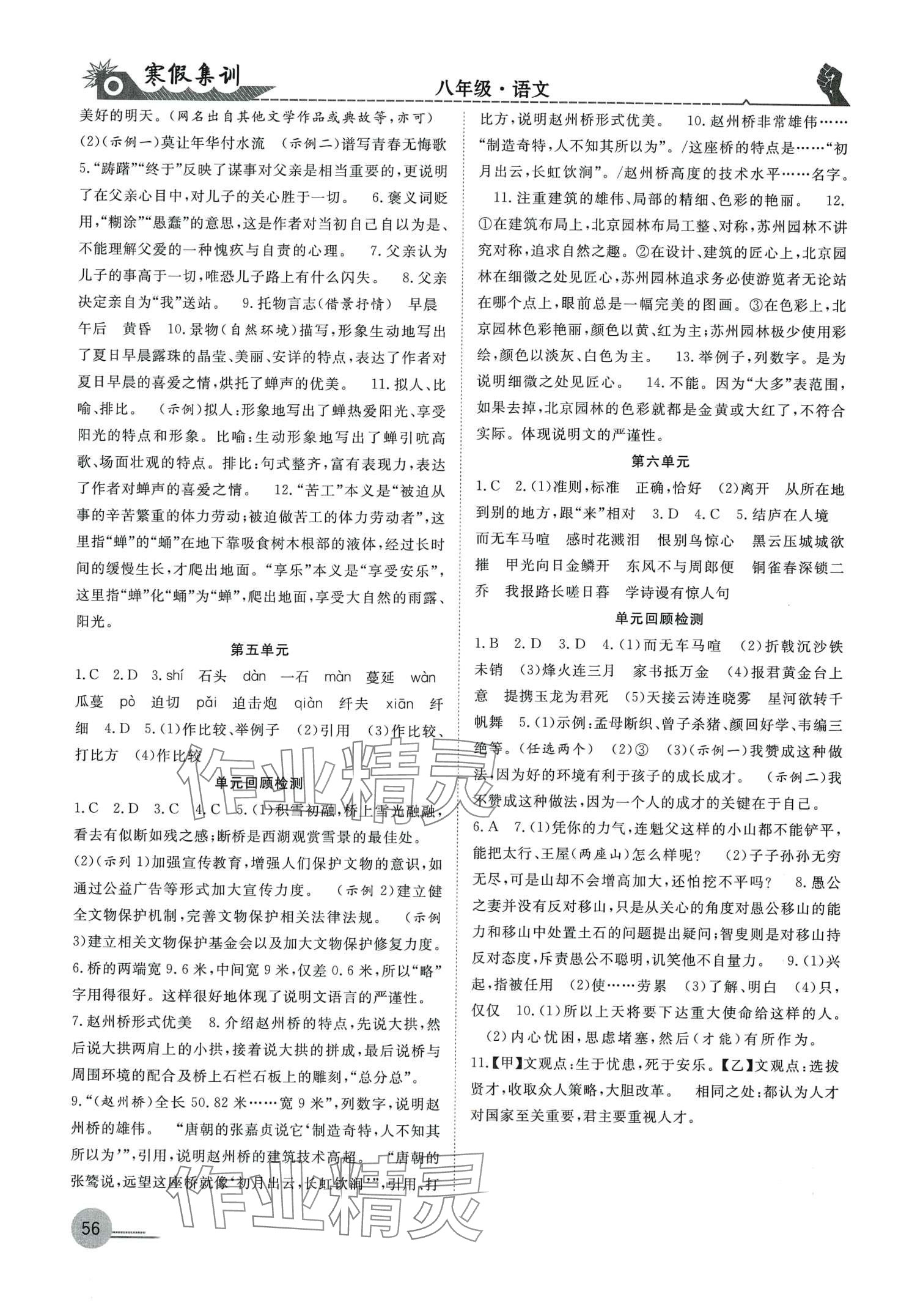 2024年寒假集訓(xùn)合肥工業(yè)大學(xué)出版社八年級語文人教版 第2頁