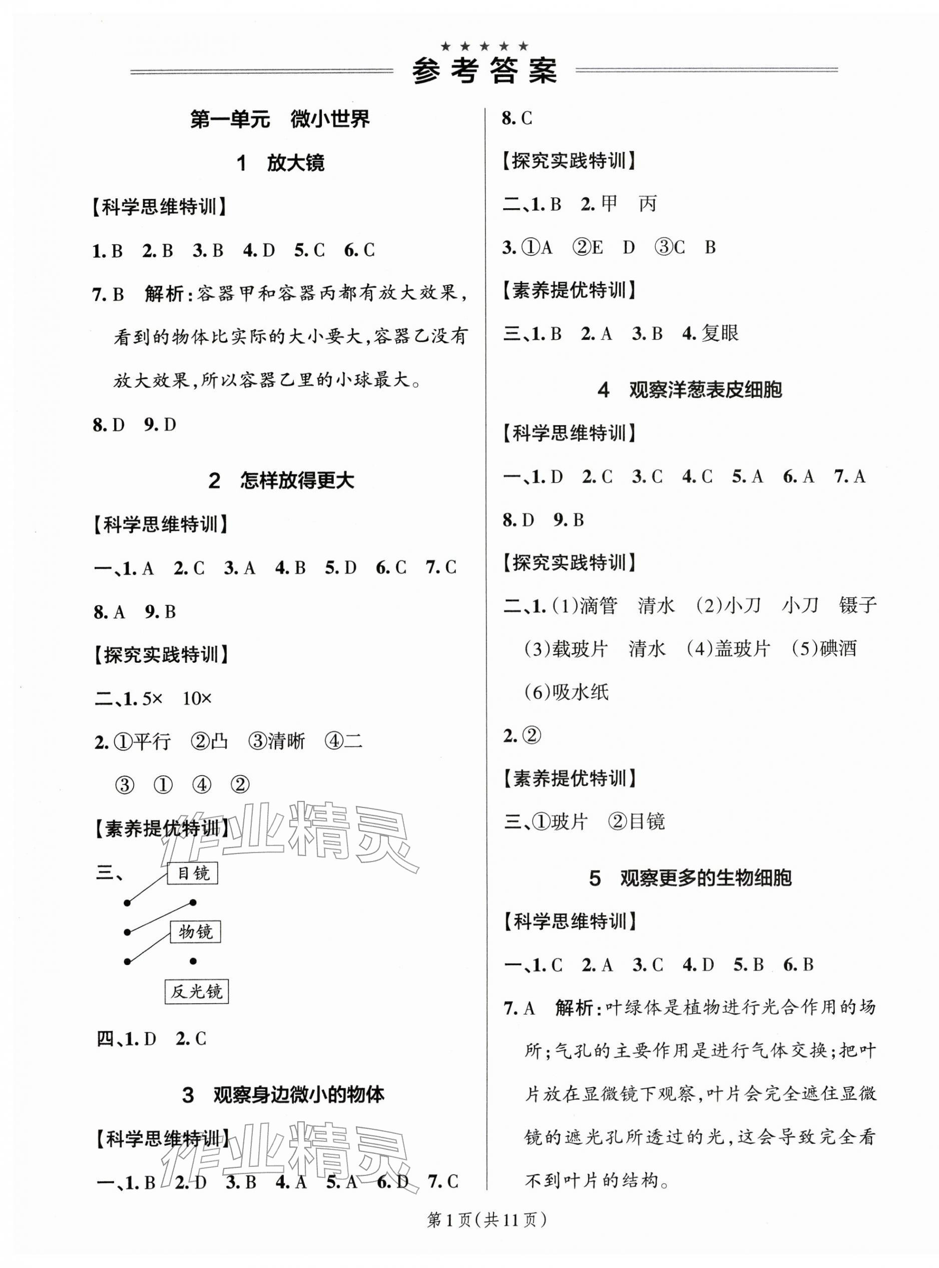 2025年绿卡提优特训六年级科学上册教科版江苏专版 参考答案第1页