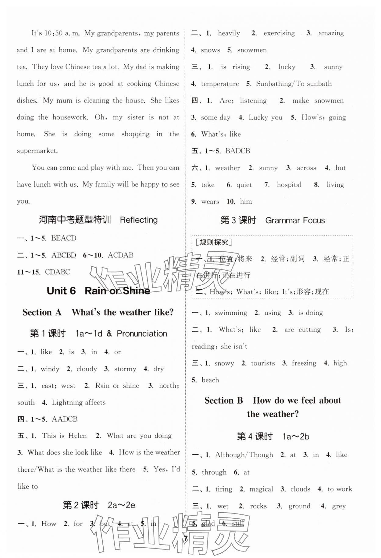 2025年通城学典课时作业本七年级英语下册人教版河南专版 第7页