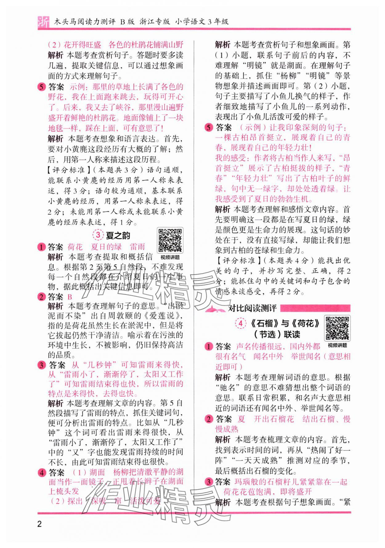 2025年木头马阅读力测评三年级语文下册人教版浙江专版 第2页