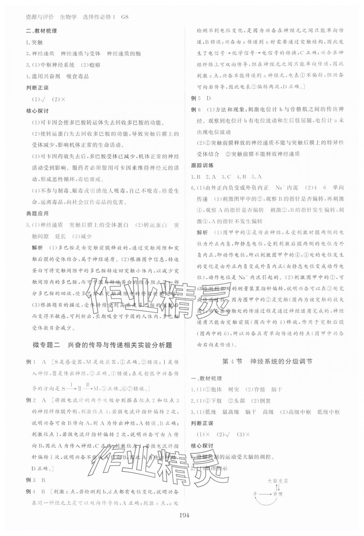 2024年資源與評(píng)價(jià)黑龍江教育出版社高中生物選擇性必修1人教版 參考答案第5頁