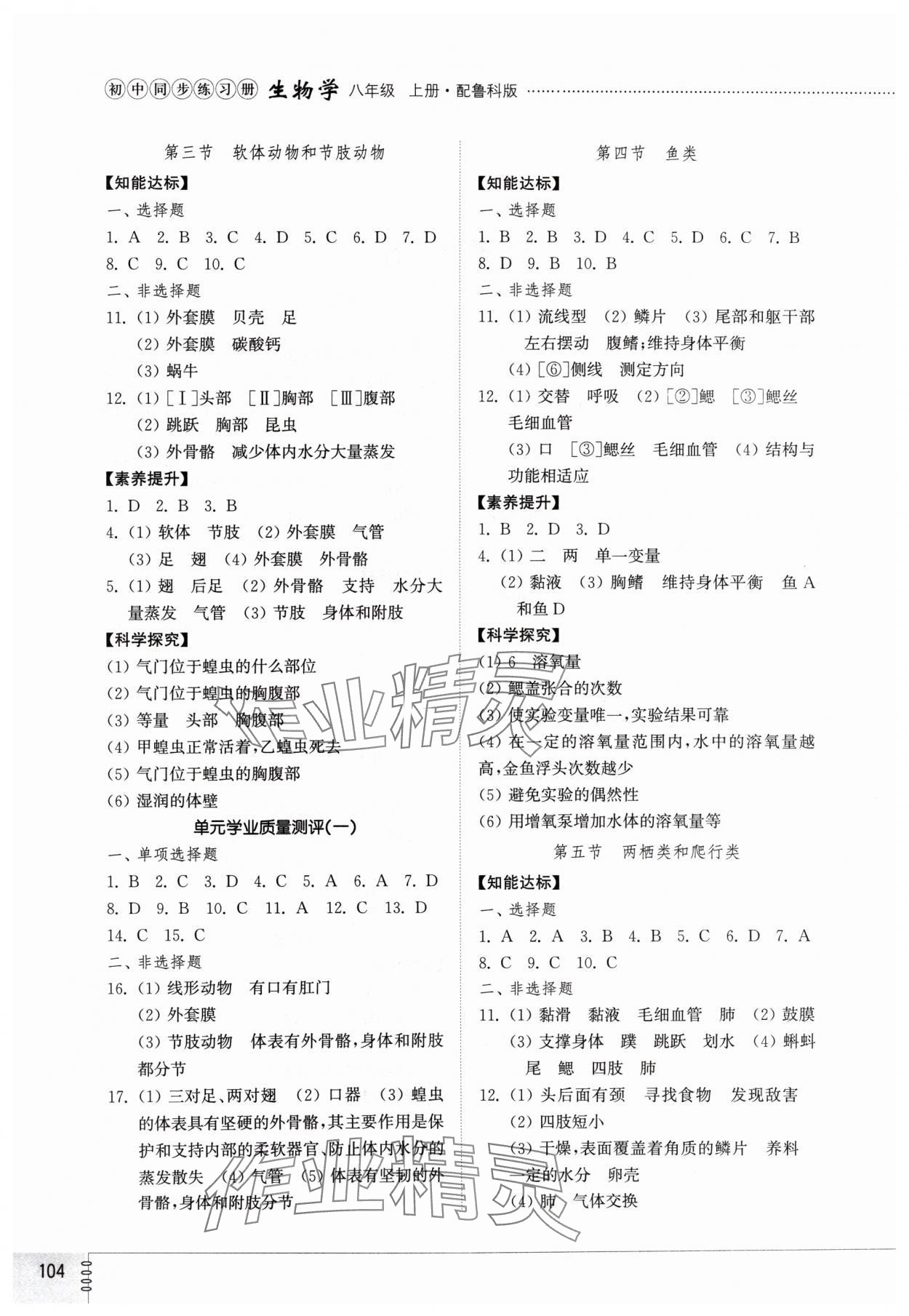 2024年初中同步練習(xí)冊八年級生物學(xué)上冊魯科版54制山東教育出版社 第2頁