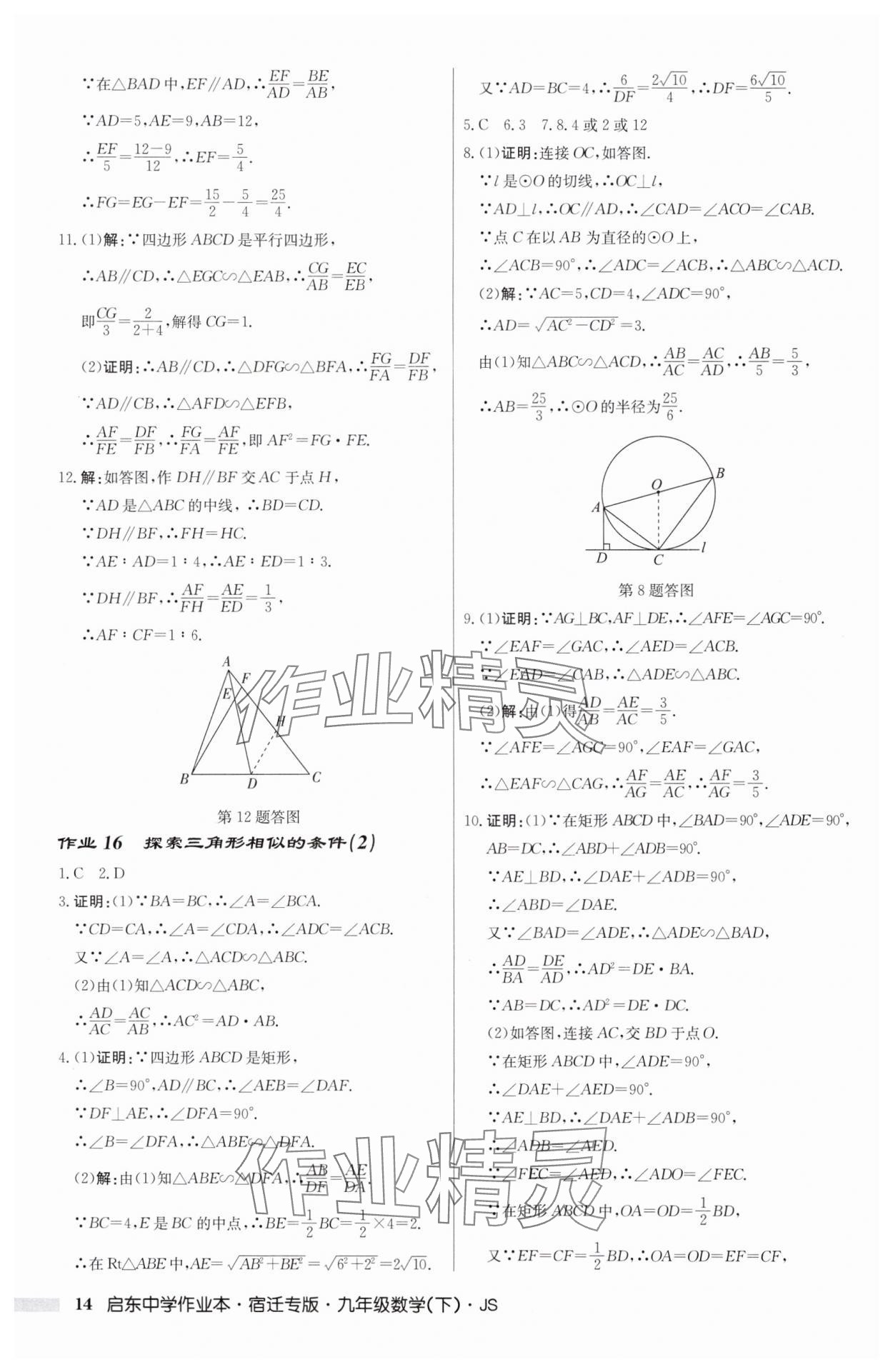 2025年启东中学作业本九年级数学下册苏科版宿迁专版 第14页