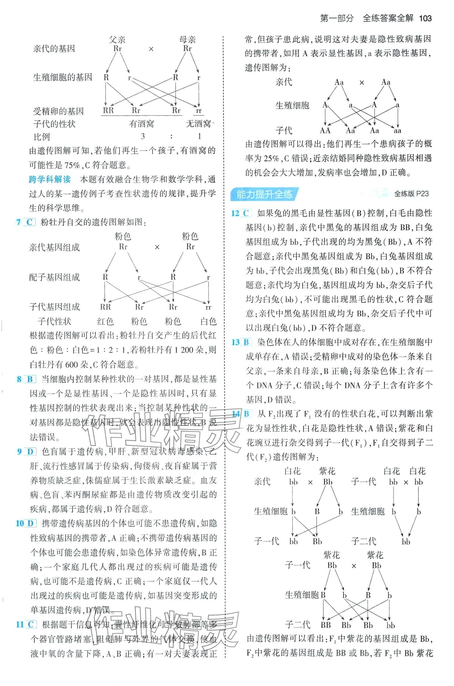 2024年5年中考3年模擬八年級(jí)生物下冊(cè)魯科版山東專版 第9頁